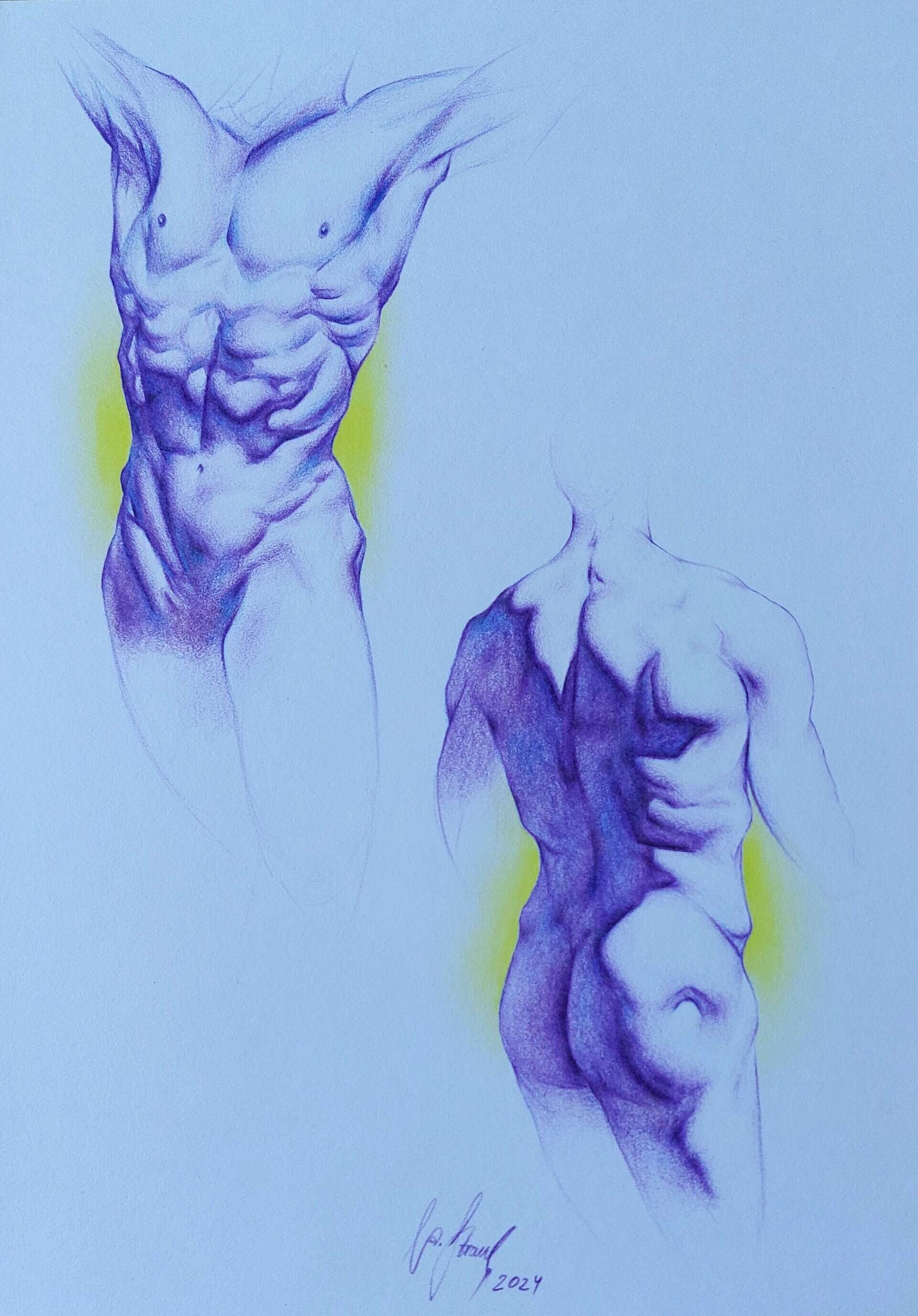 Männlicher Torso (Aktstudie) - Alexander Straub 1