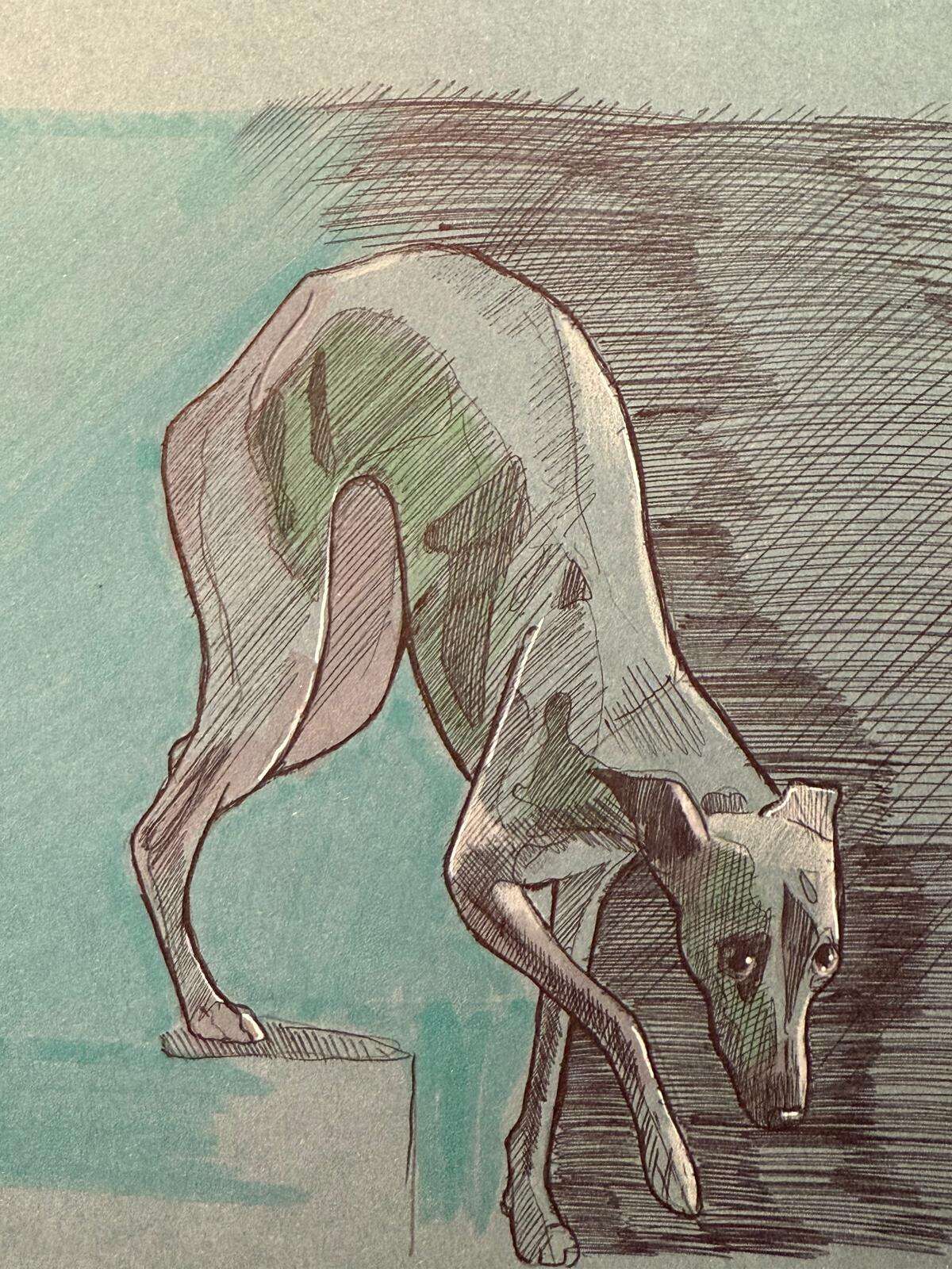 The Sock - Laura Küpper 4