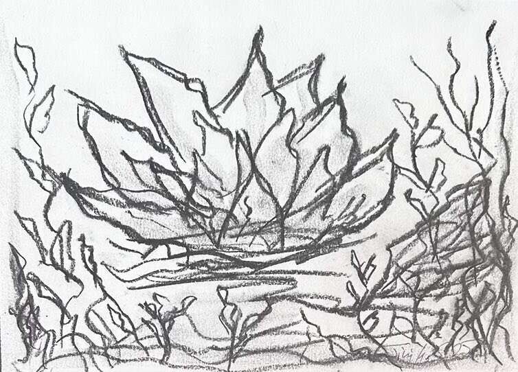 Waterlilies Dream 3 - Martina  Schepperle  2