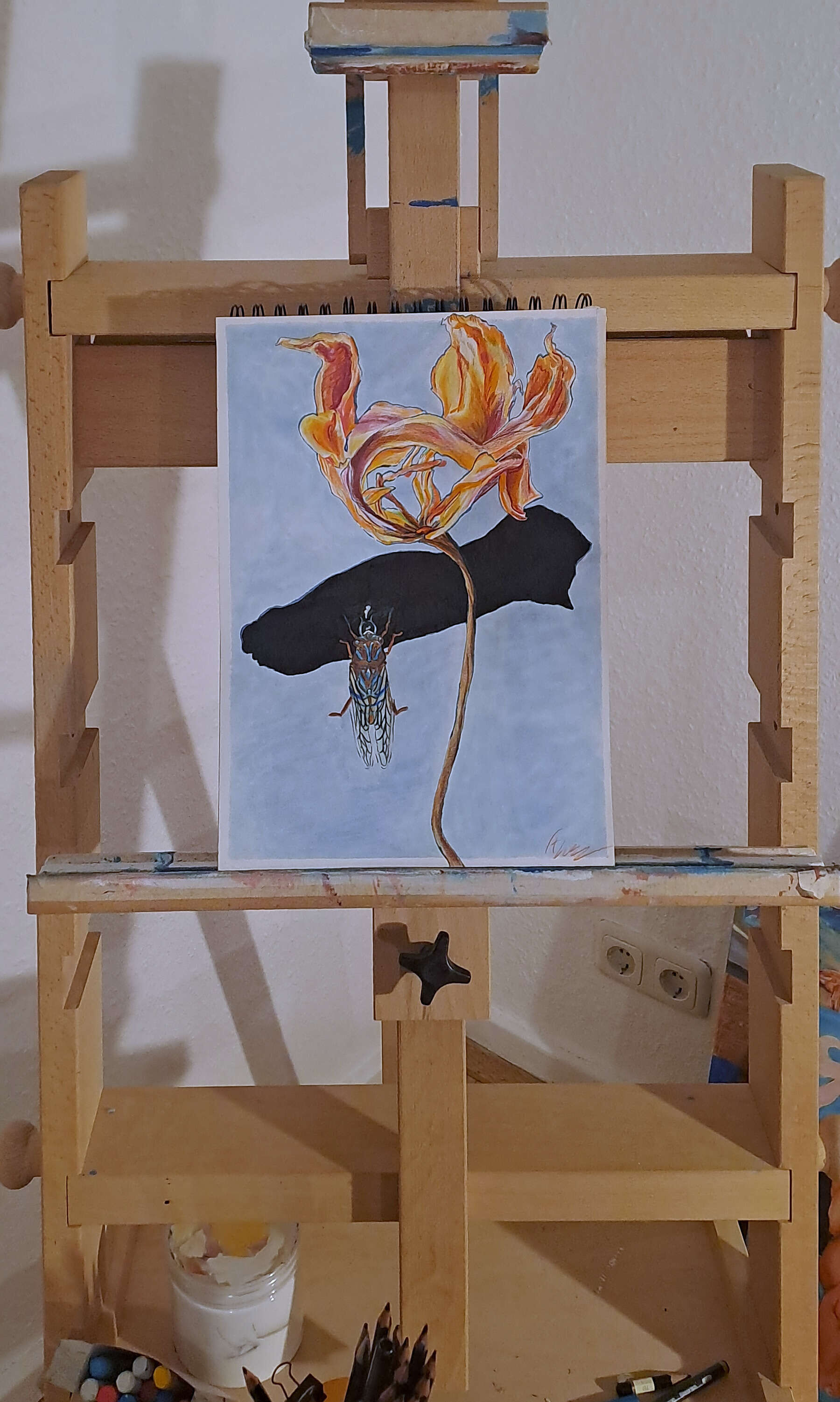 Cicada on Dahlia - Thomas Lorenz 1