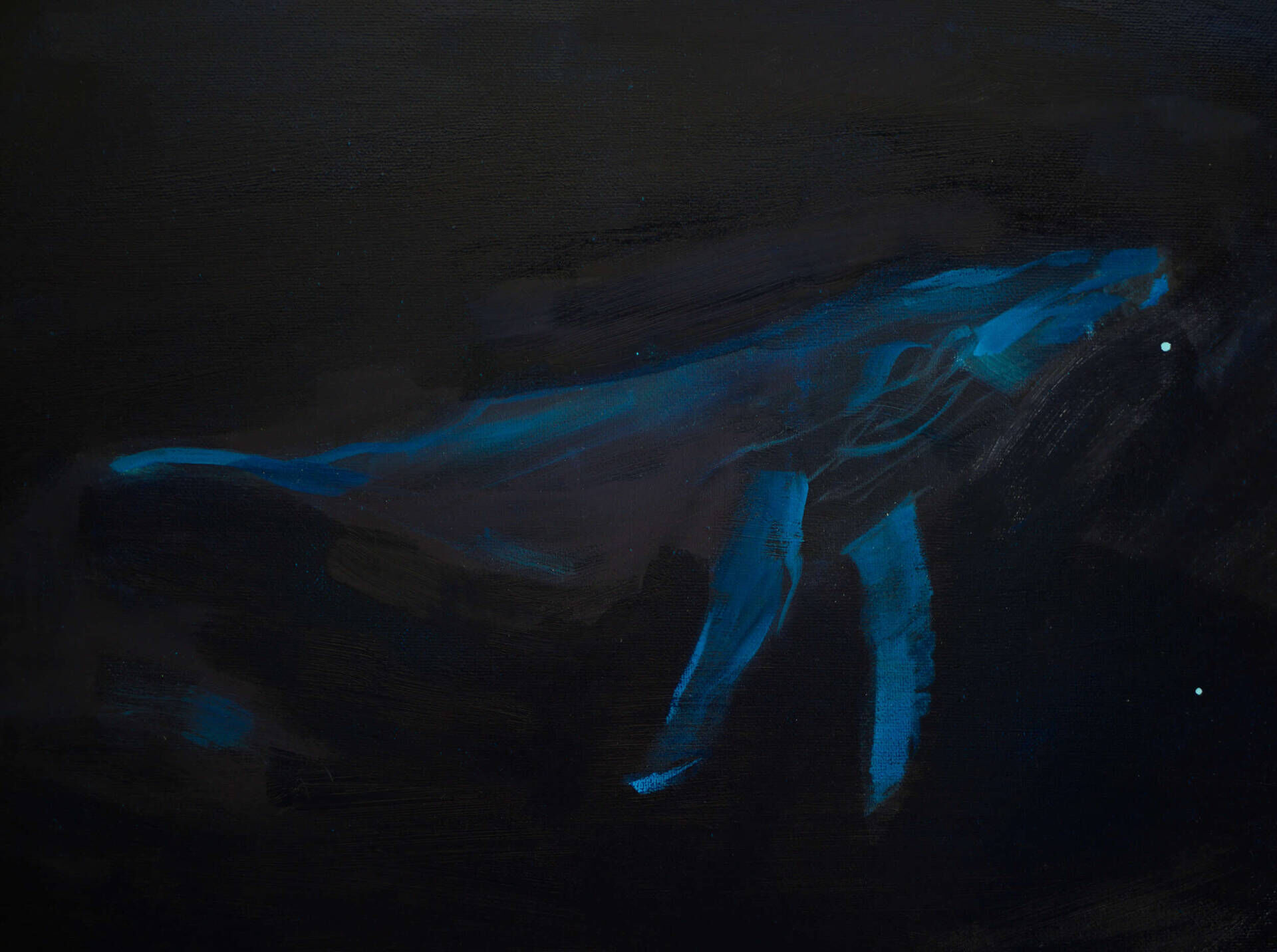 Sea eye - Oleksii Gnievyshev 10