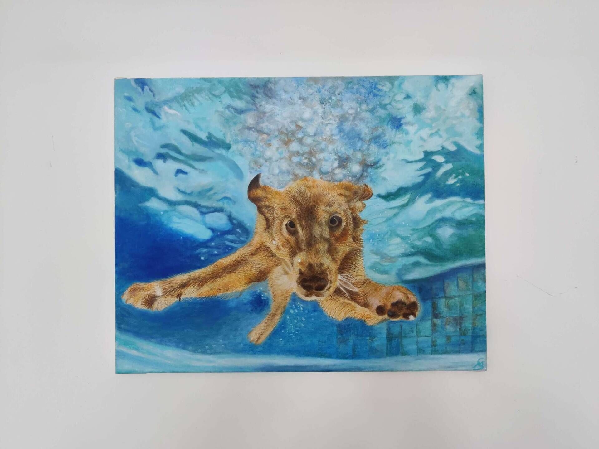 Seehund - Milena Simonis 2