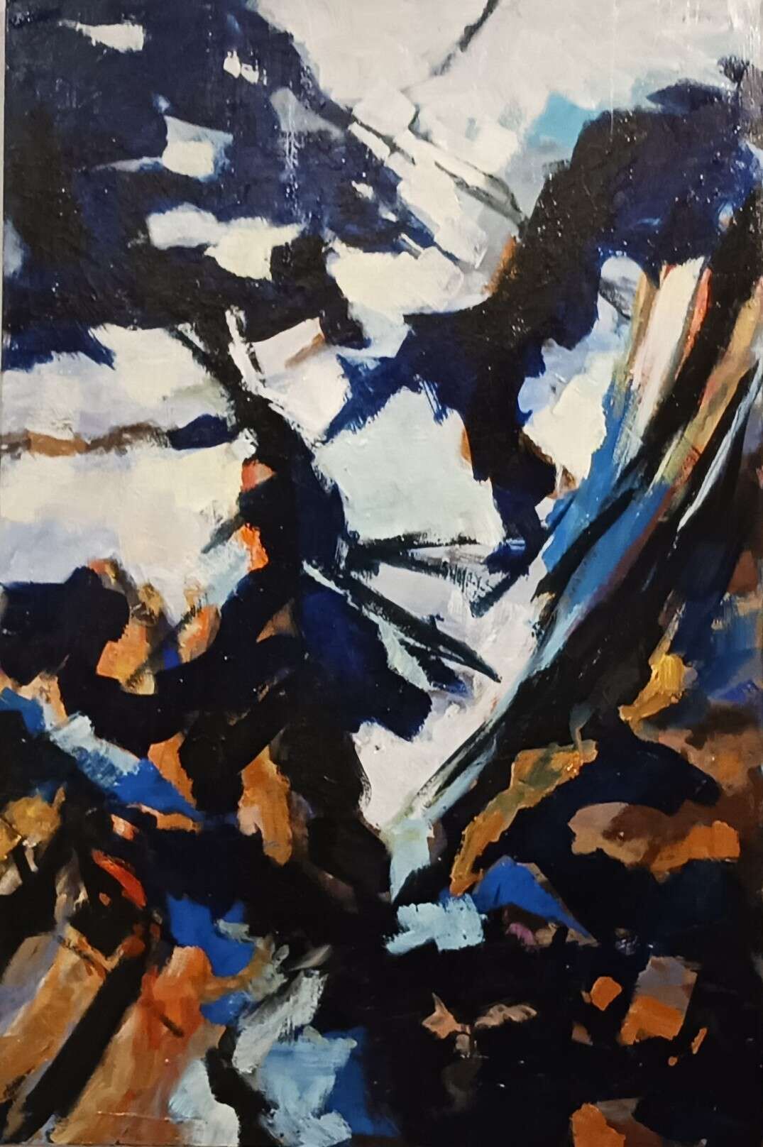 Wo ist der Yeti - Gerold  Hauer  1