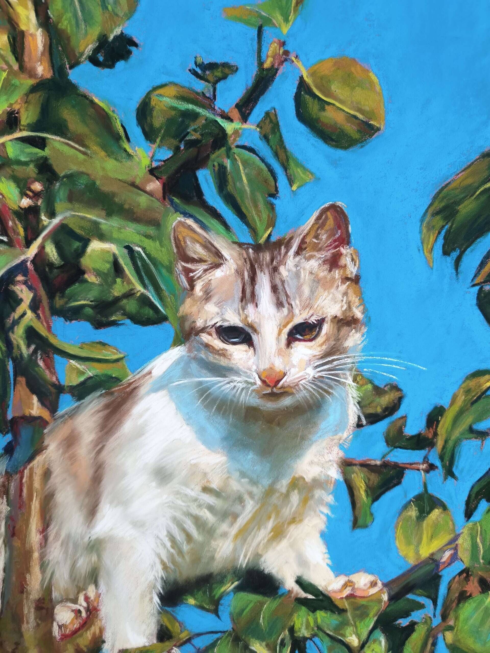 Magic cat - Elza Slo 1