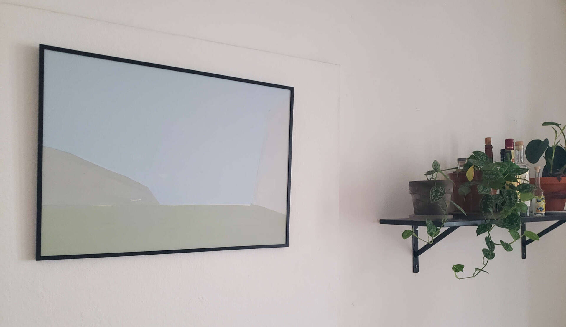 new leaves - Drew Mazyck 2