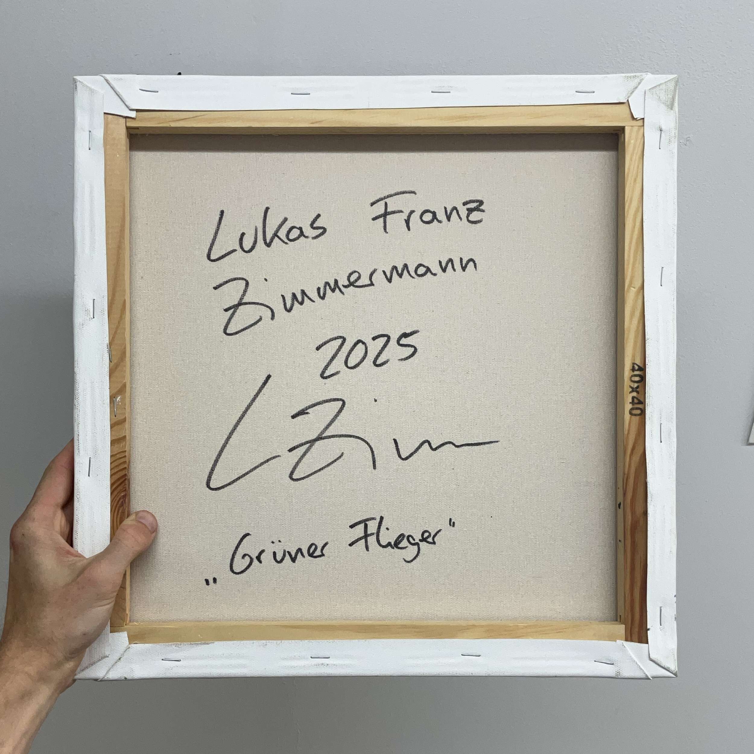 Grüner Flieger - Lukas Franz Zimmermann 8