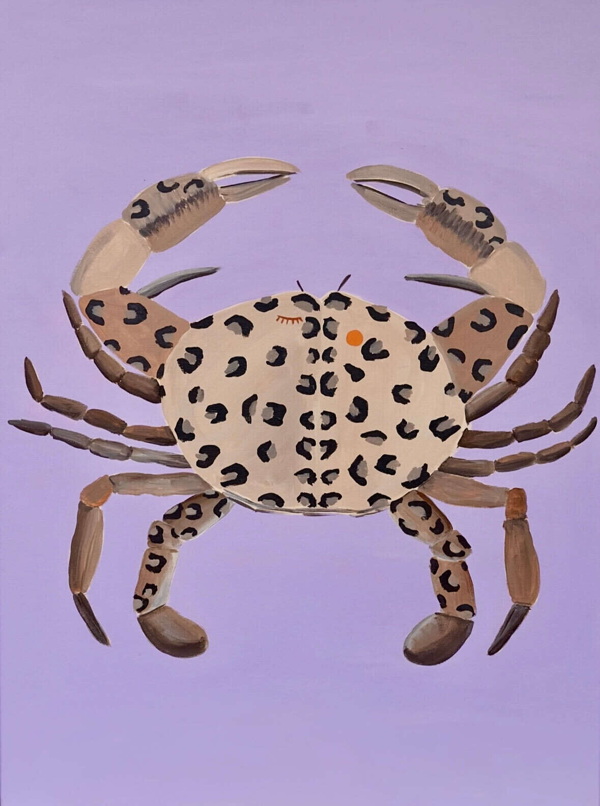Crab - Julia Von Solemacher 4