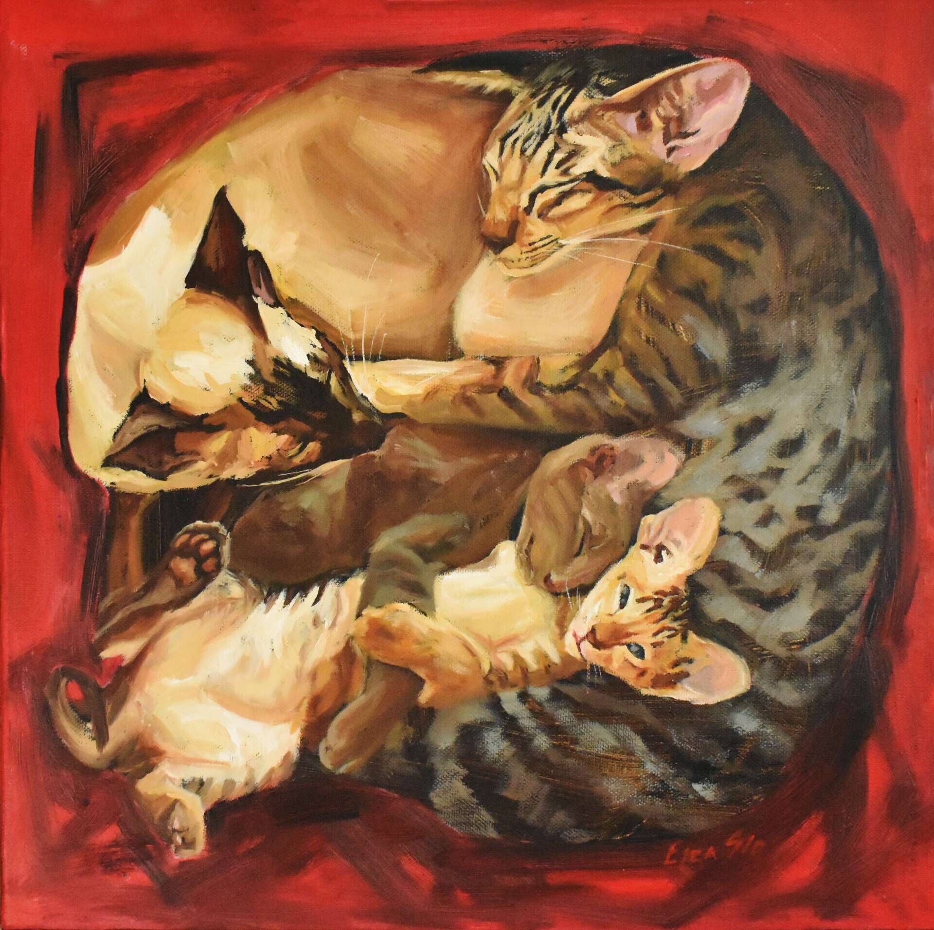 Red Cat Square  - Elza Slo 3