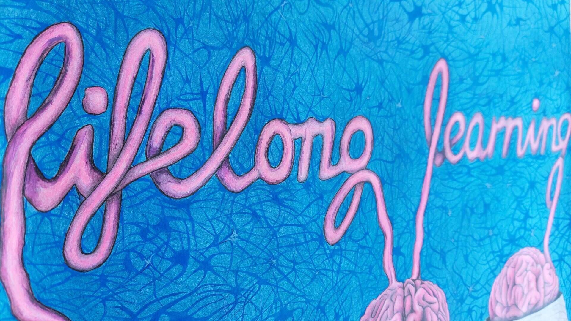 Lifelong learning - lebenslanges Lernen - Alexander Straub 9