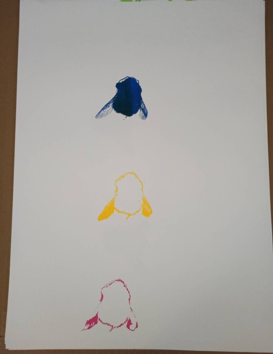 Bunte Hummeln