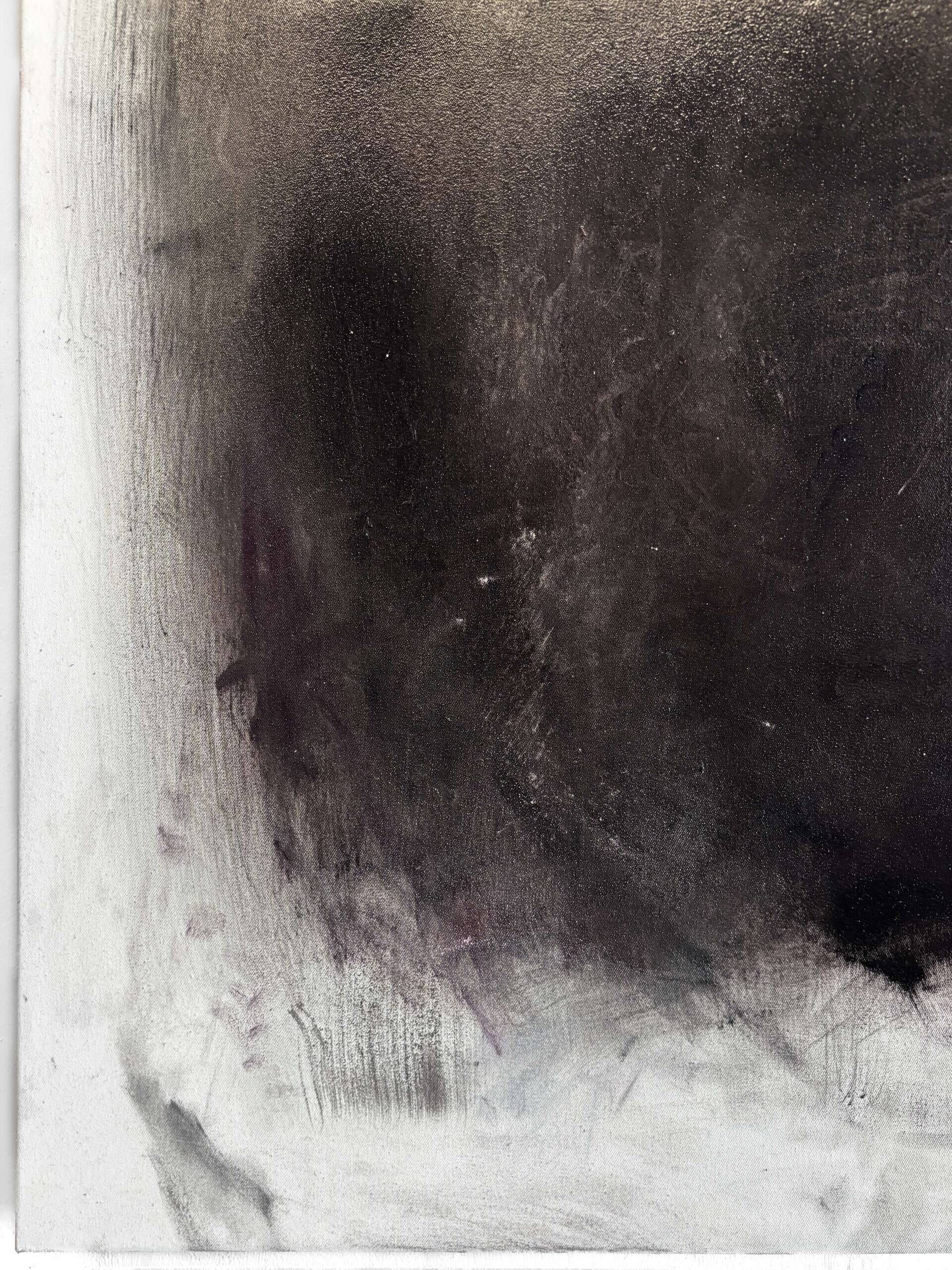 black silver  - Lenny Renz 1