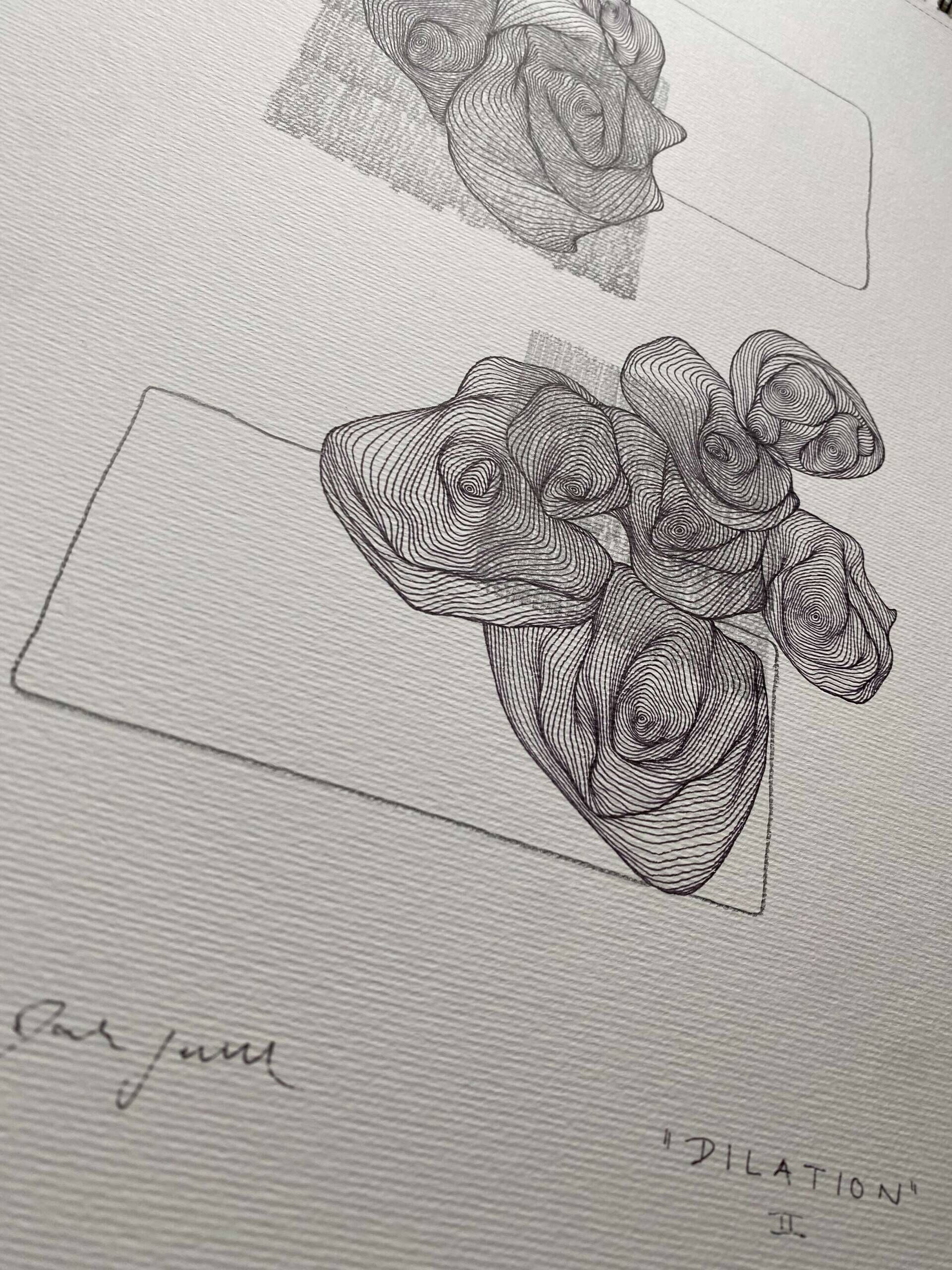 dilation II - Paula-Maryla Schmoll 4