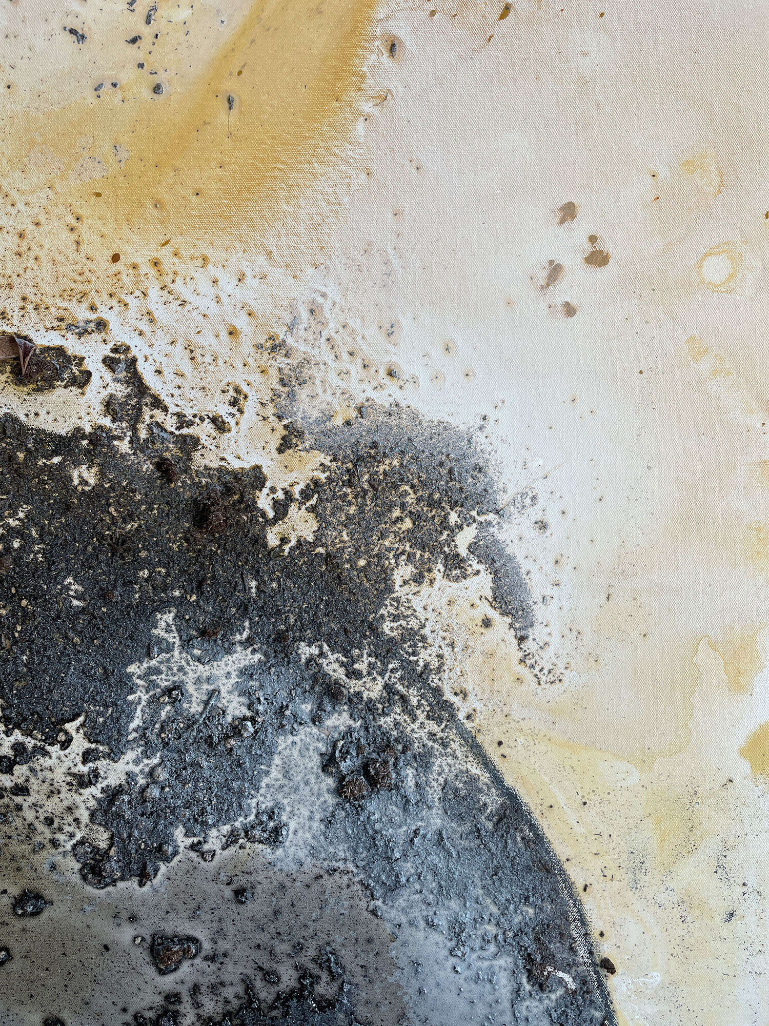 Shedding Shadow, Shedding Light - Vicky Anna Lardschneider 1