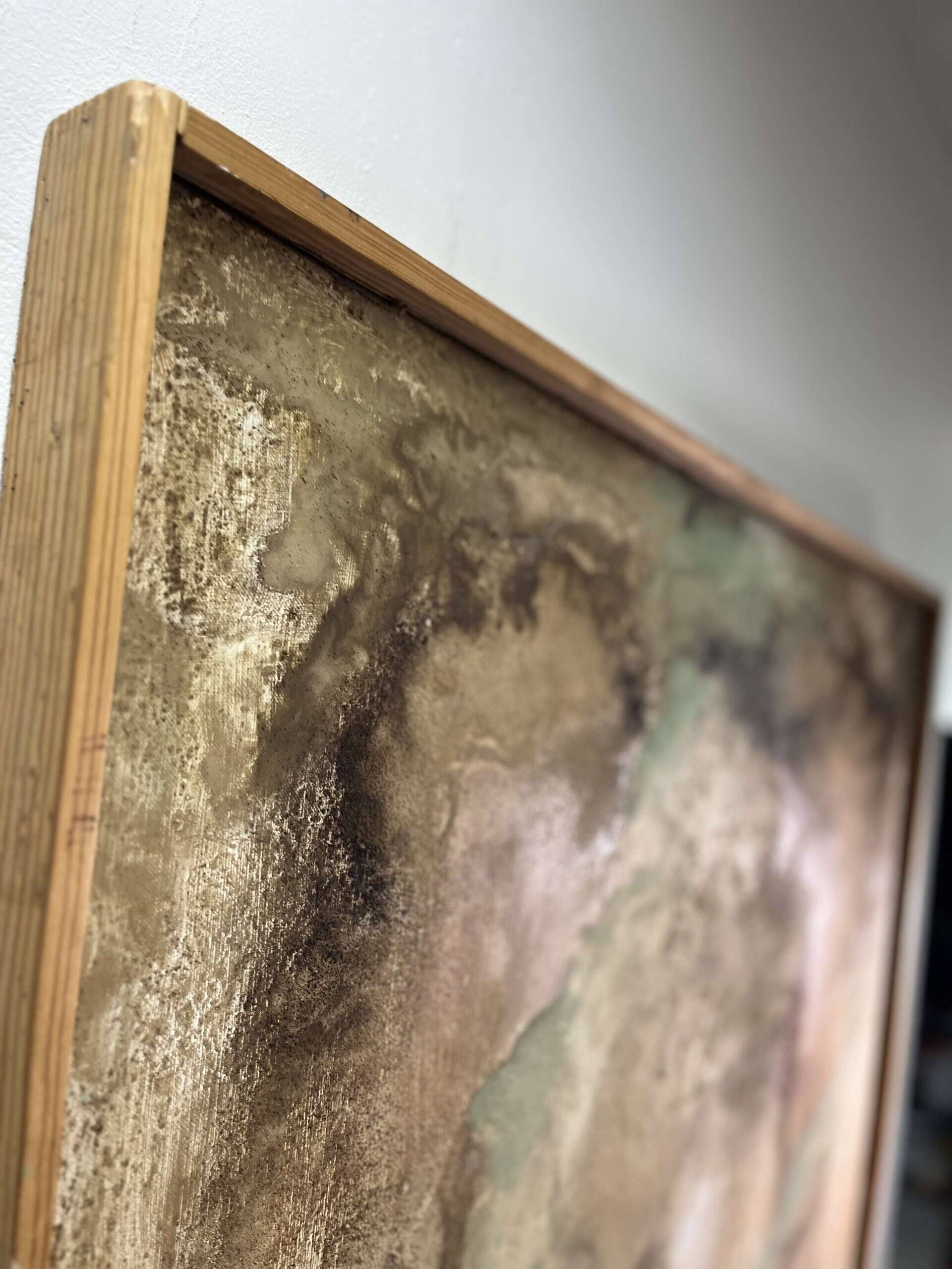 Inner land  - laura sherin 1