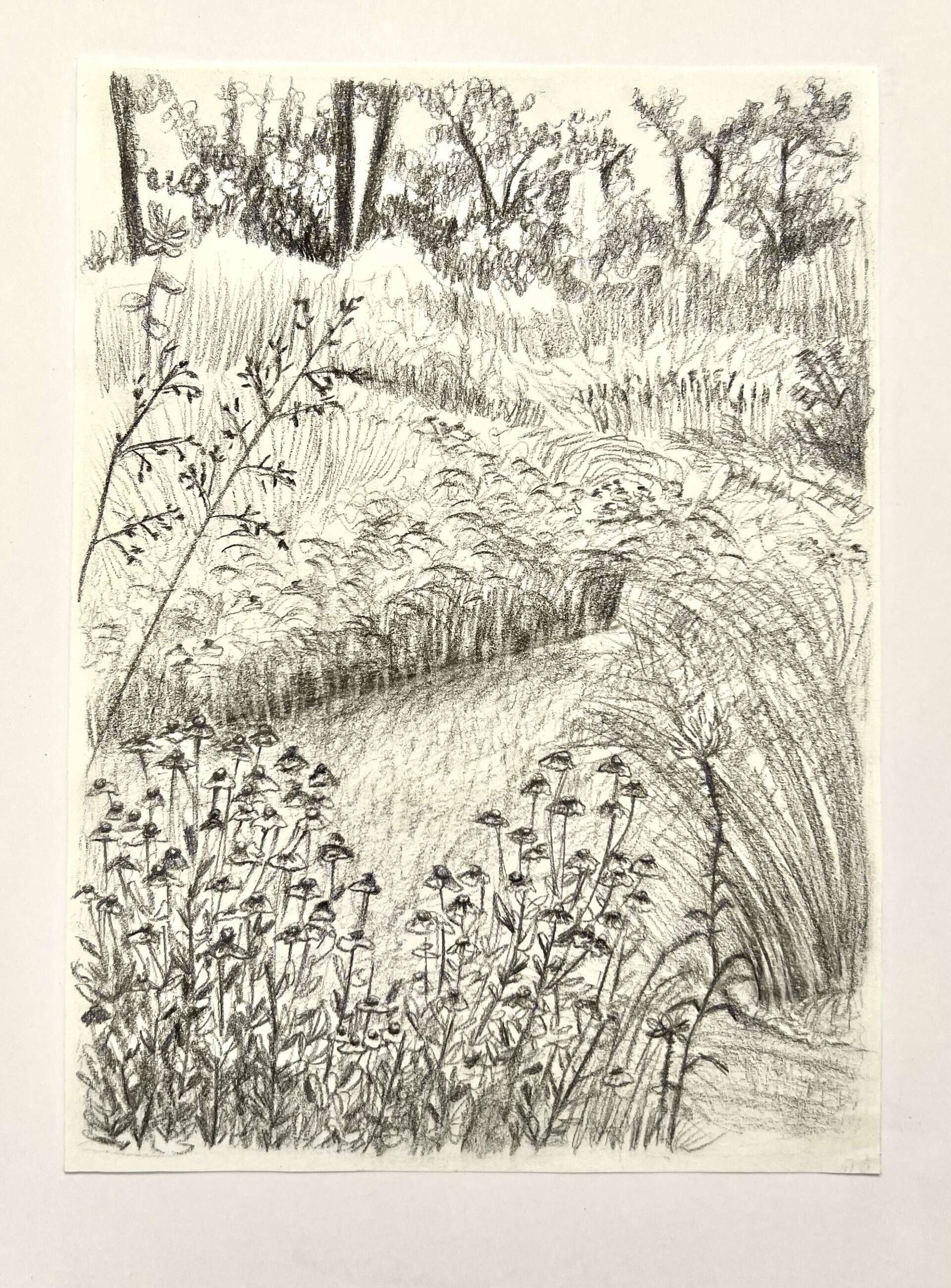 Flusslauf - Paula Victoria Aldea 2