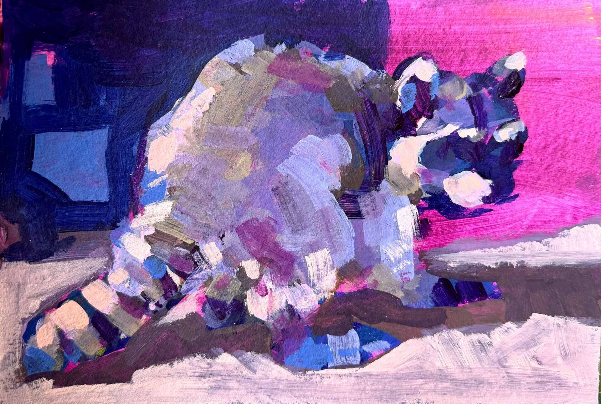 Waschbär - Daniel Heimgärtner 1