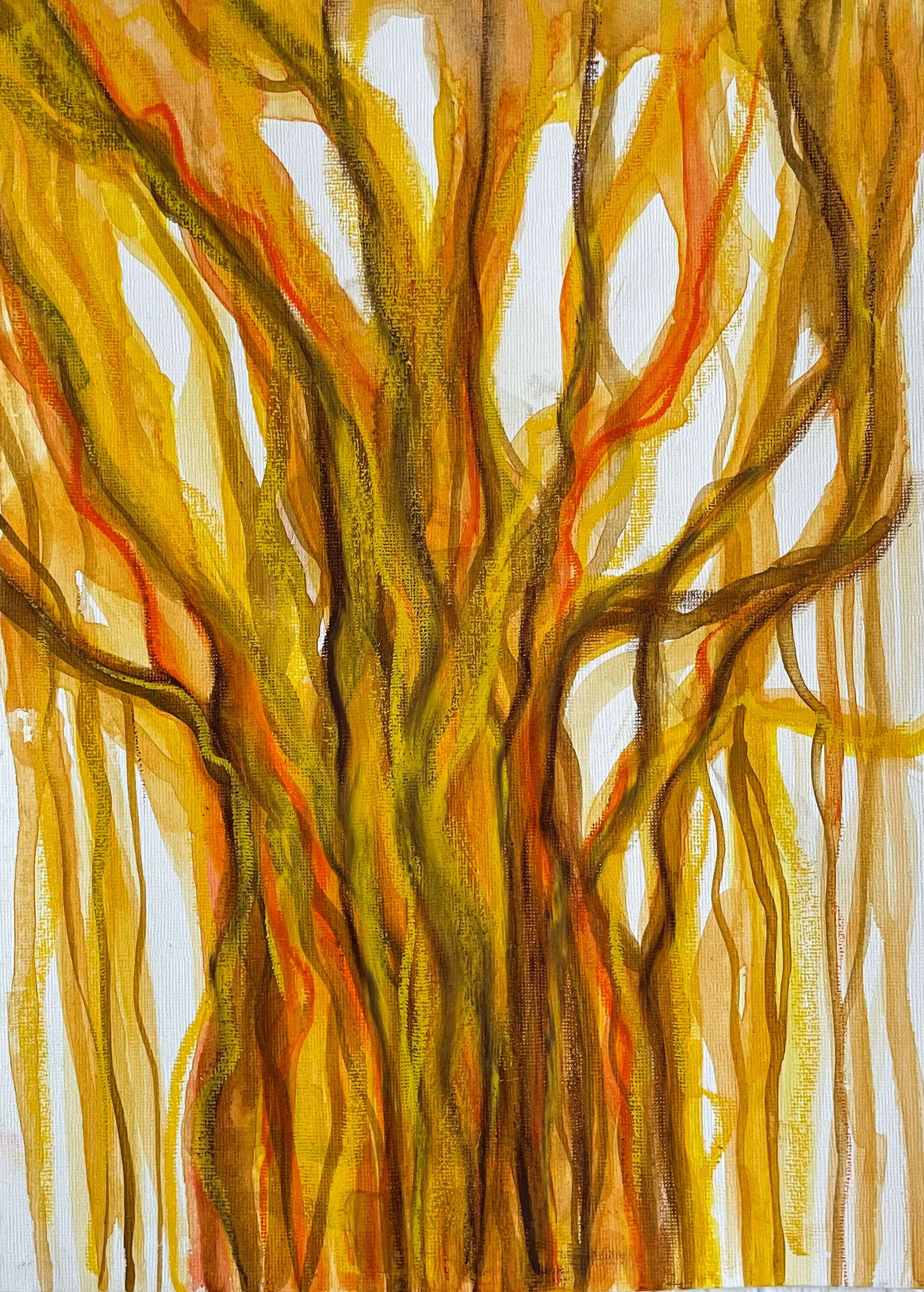 Banyan Tree 2 - Teuta Pashnjari 1