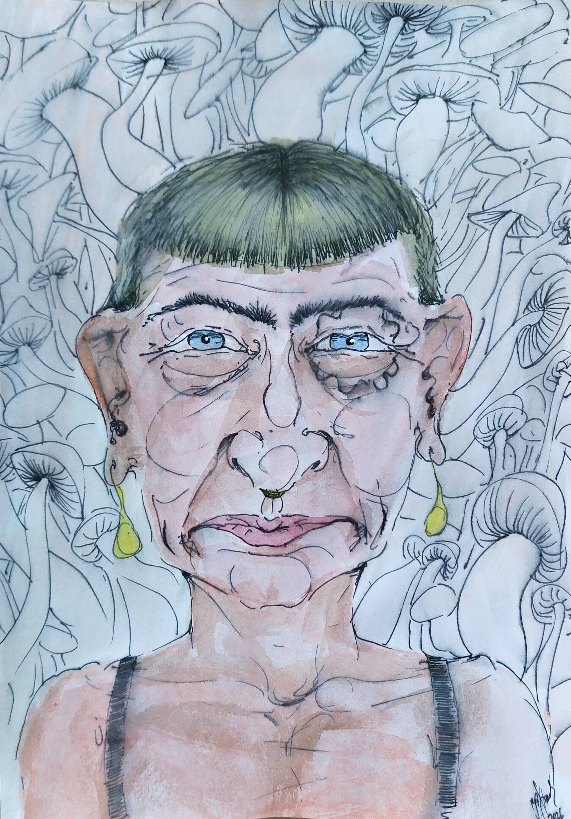 Pilze im Hintergrund  - Alexander Straub 1