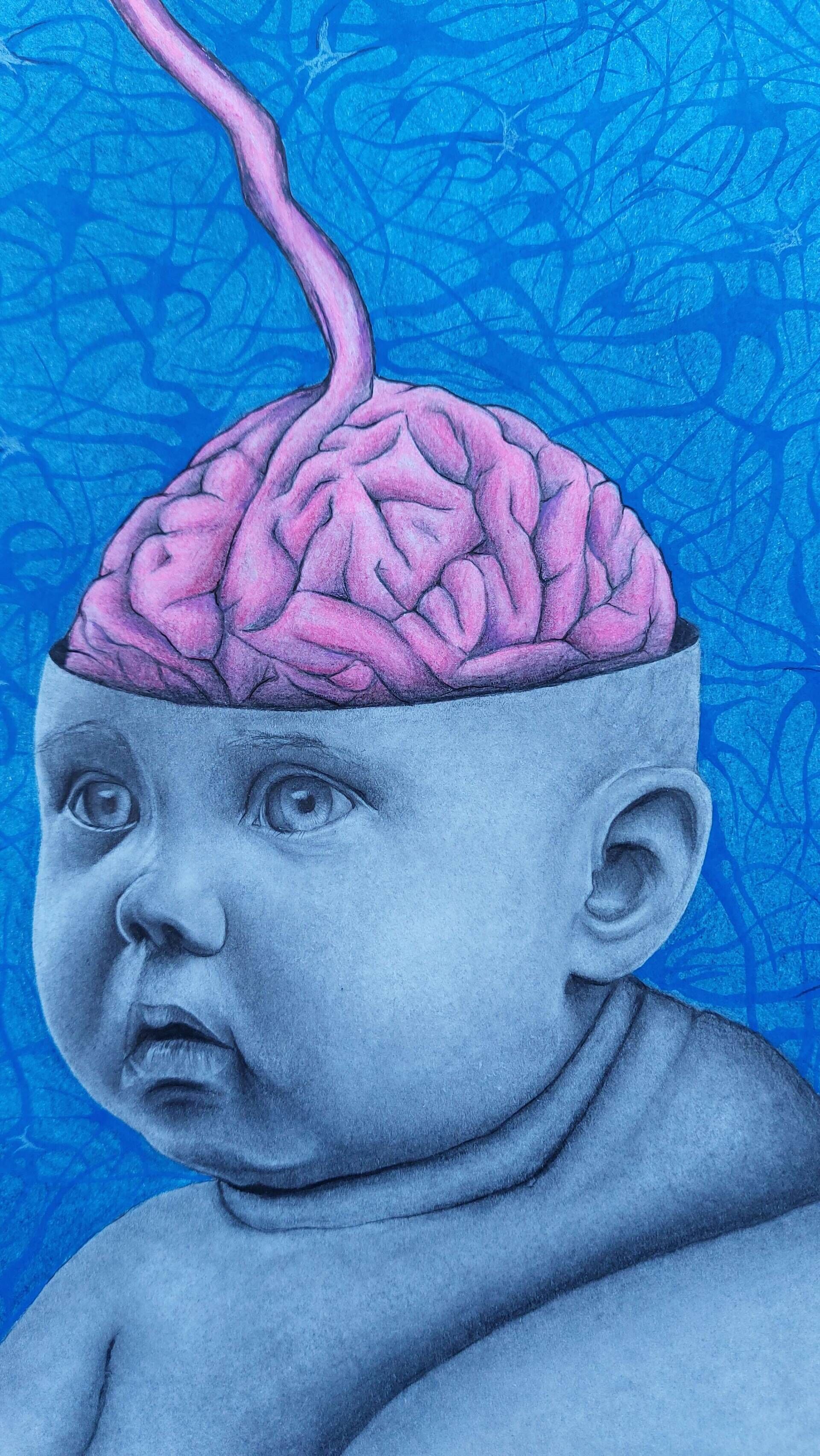 Lifelong learning - lebenslanges Lernen - Alexander Straub 5