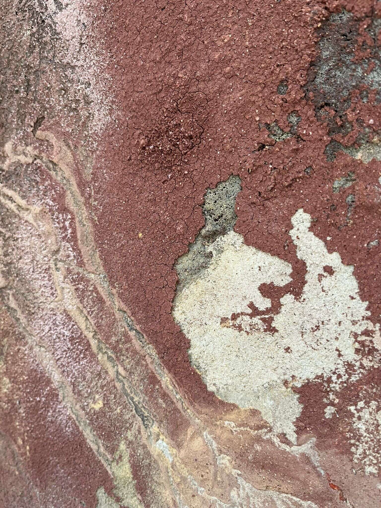 The light paints  - laura sherin 2