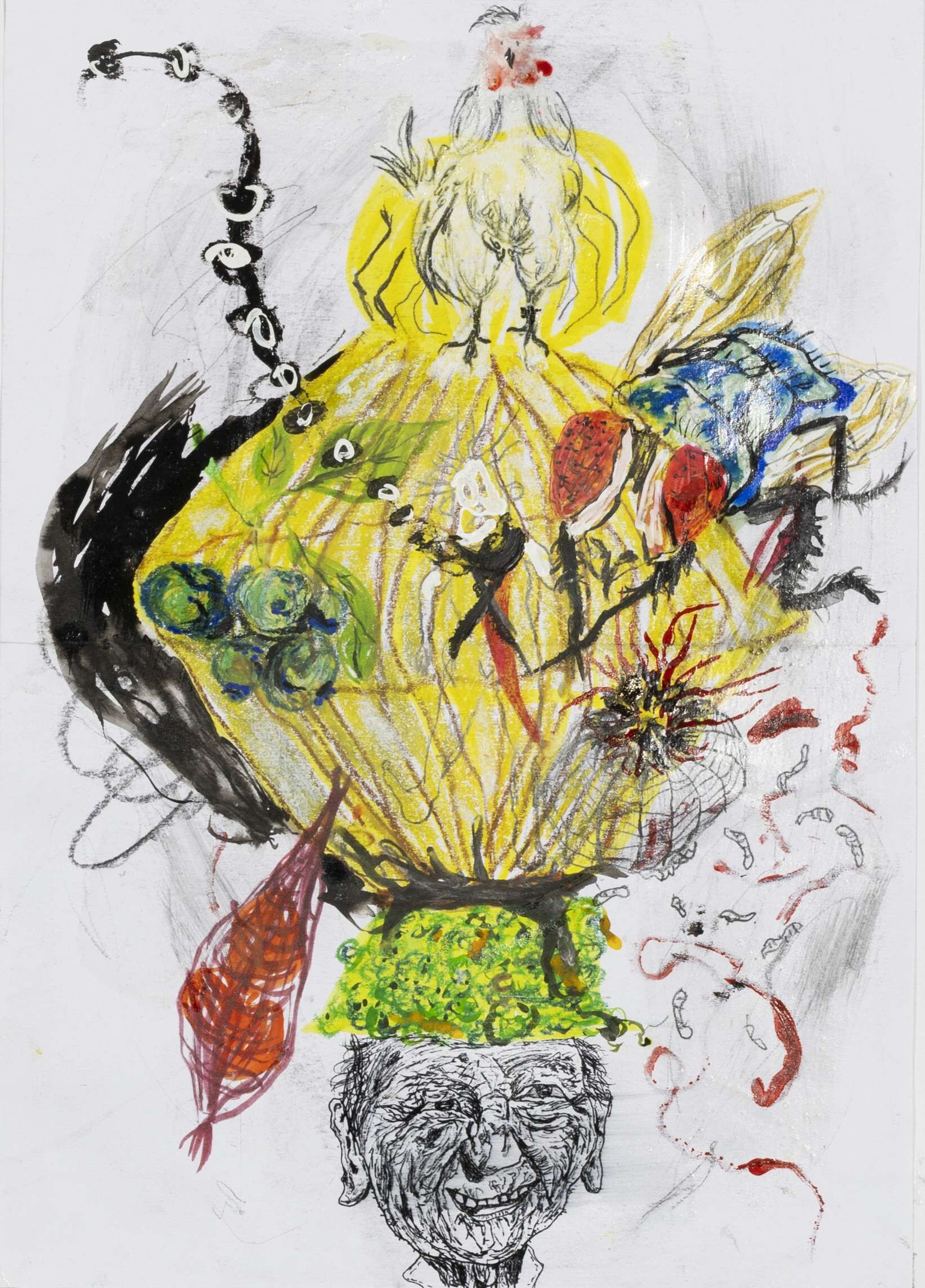 Fliegenstudie I - Boramee Kim 1
