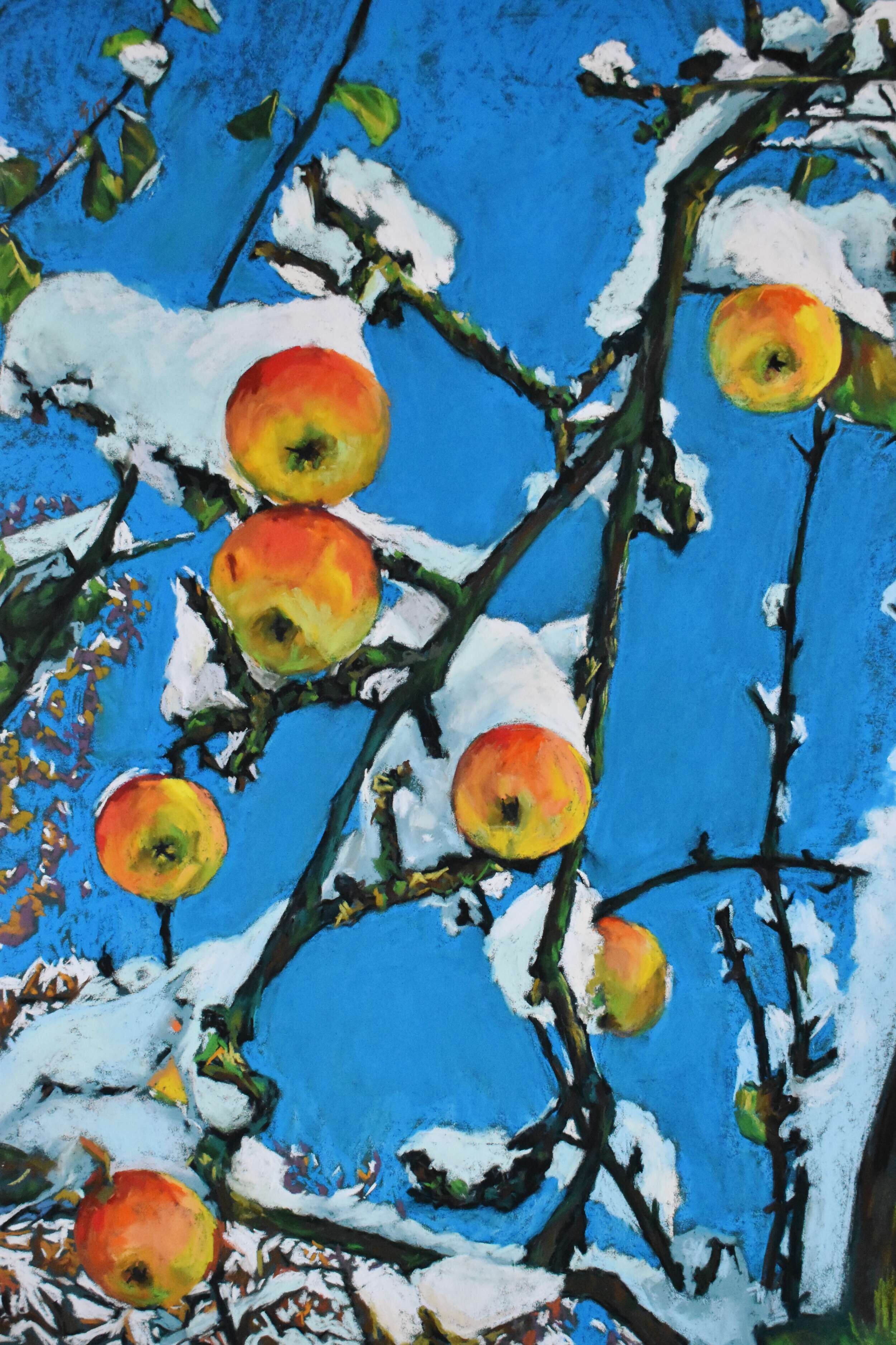 Das Wunder - Elza Slo 1