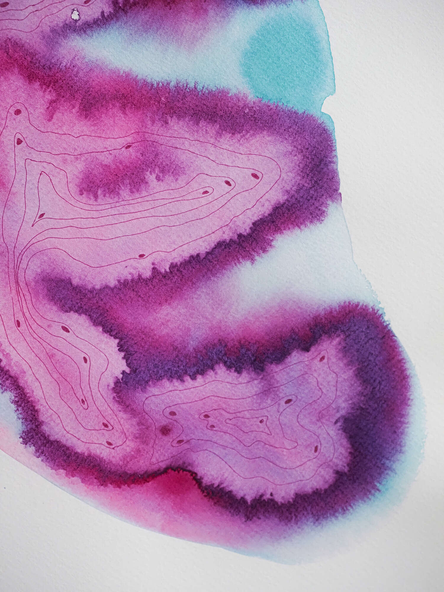 Microverse 7/12 - Vicky Anna Lardschneider 2