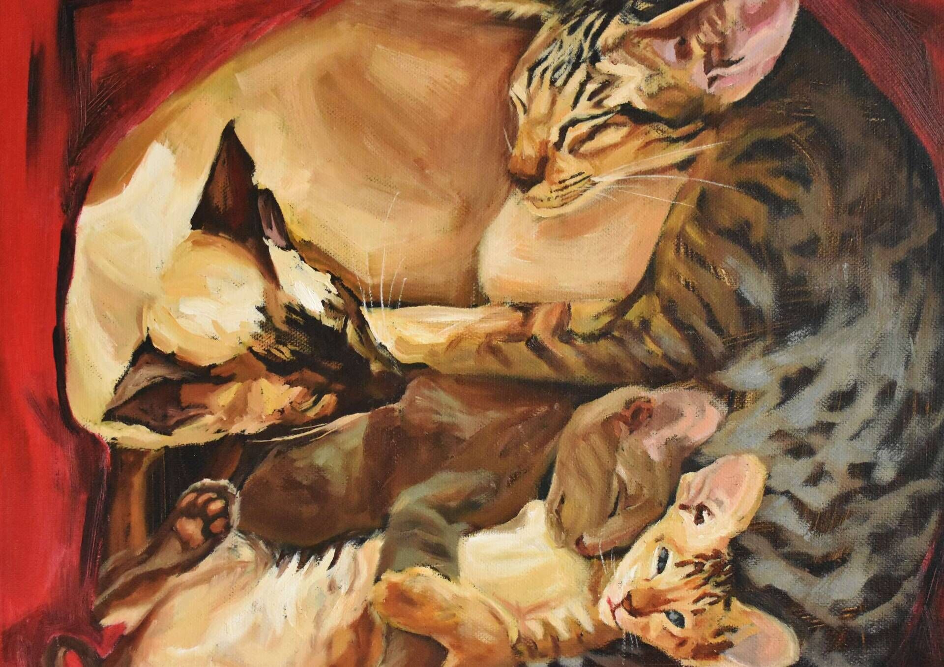 Red Cat Square  - Elza Slo 6