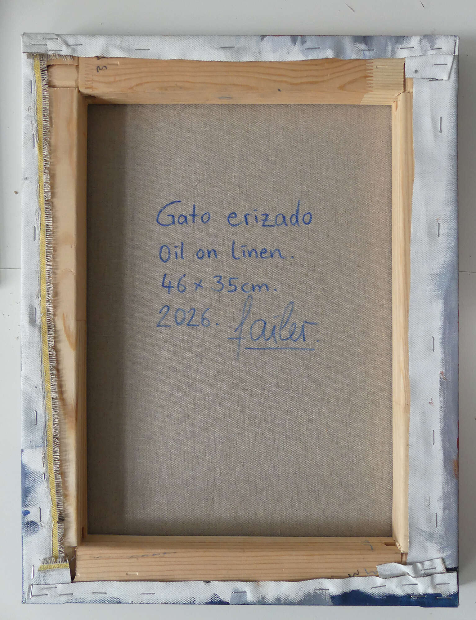 Gato erizado - Jo Failer 1