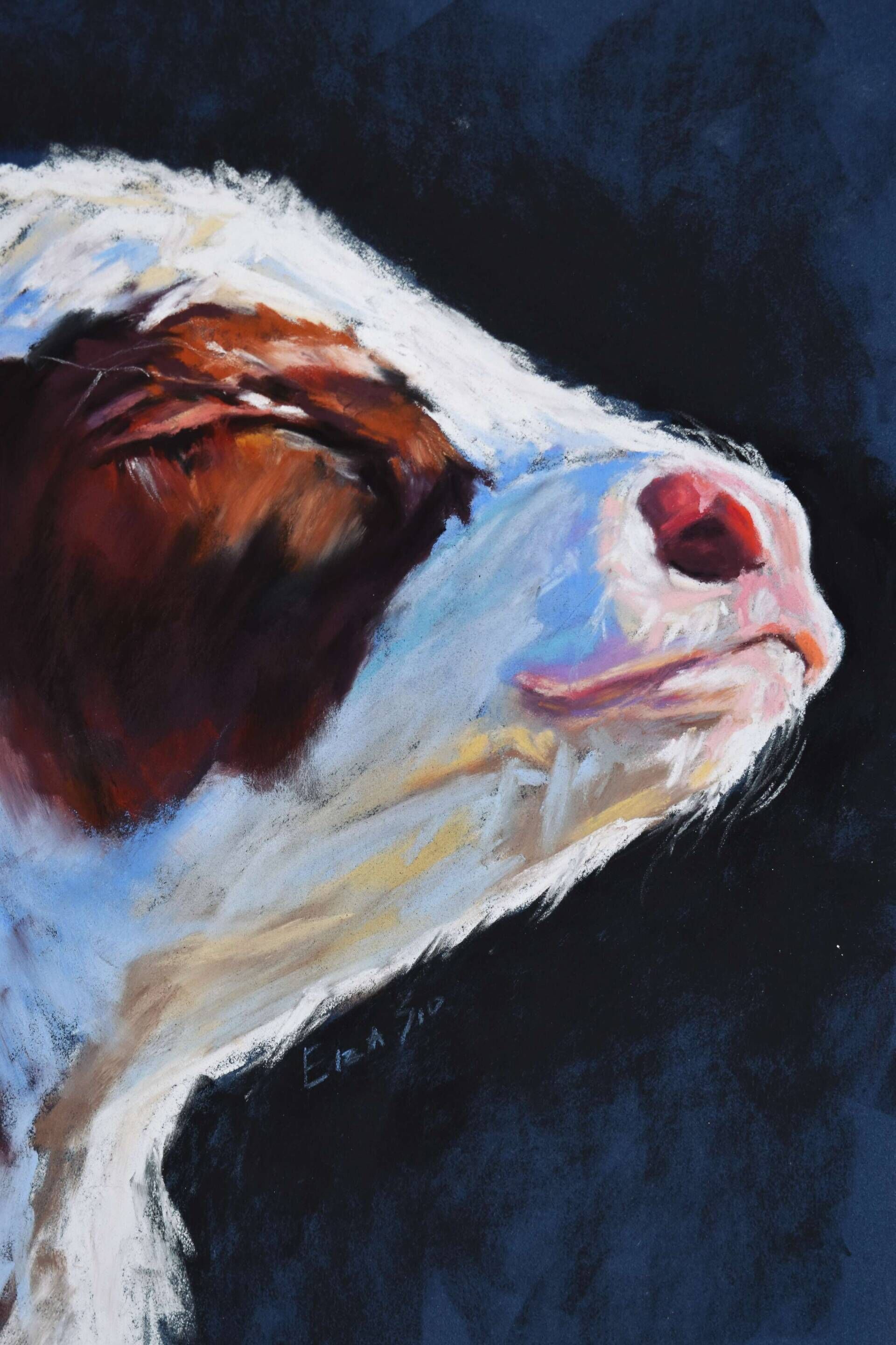 I am more than food - Yelyzaveta Slobodeniuk 3