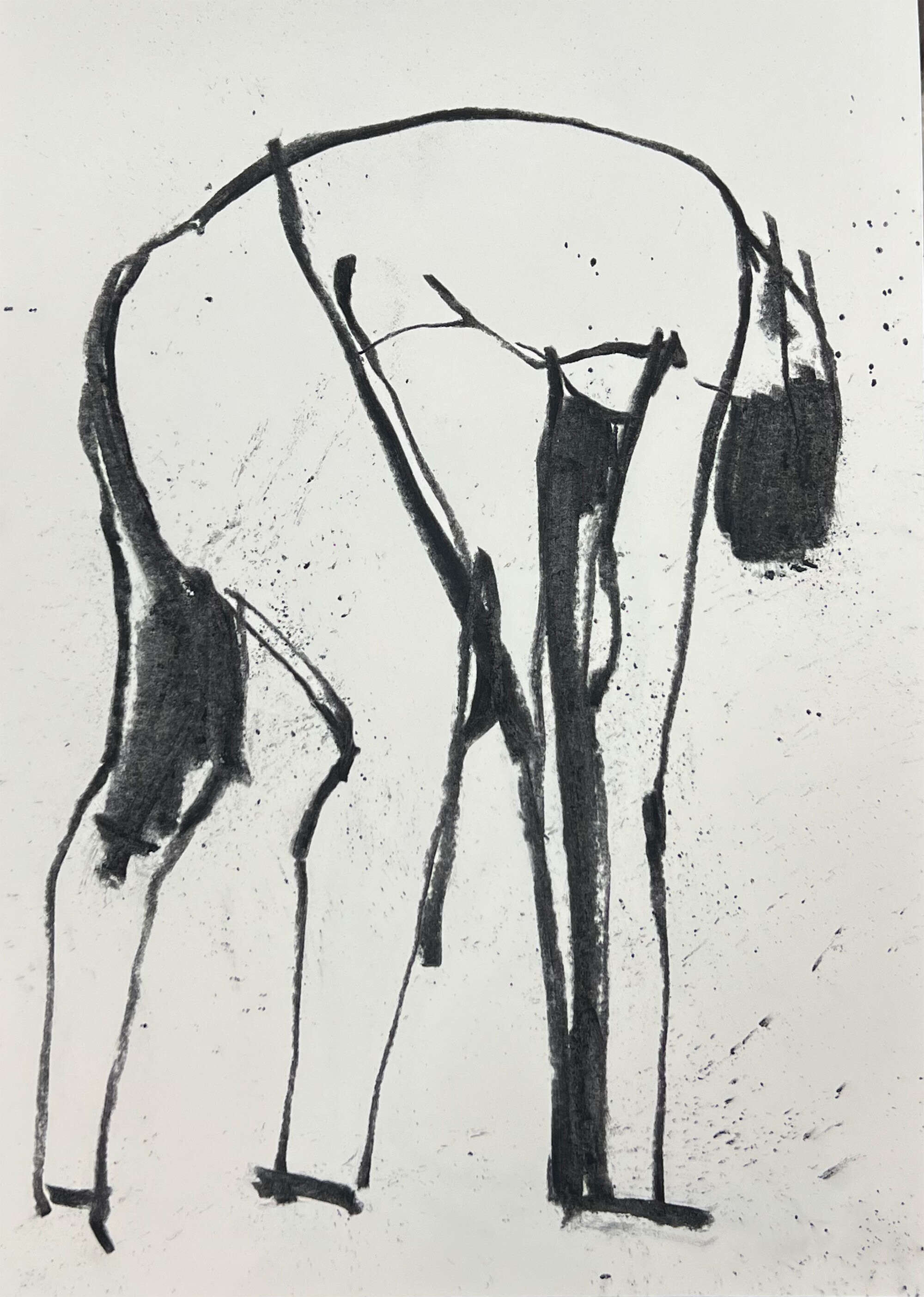 akt - Tyler Heidenwag 1