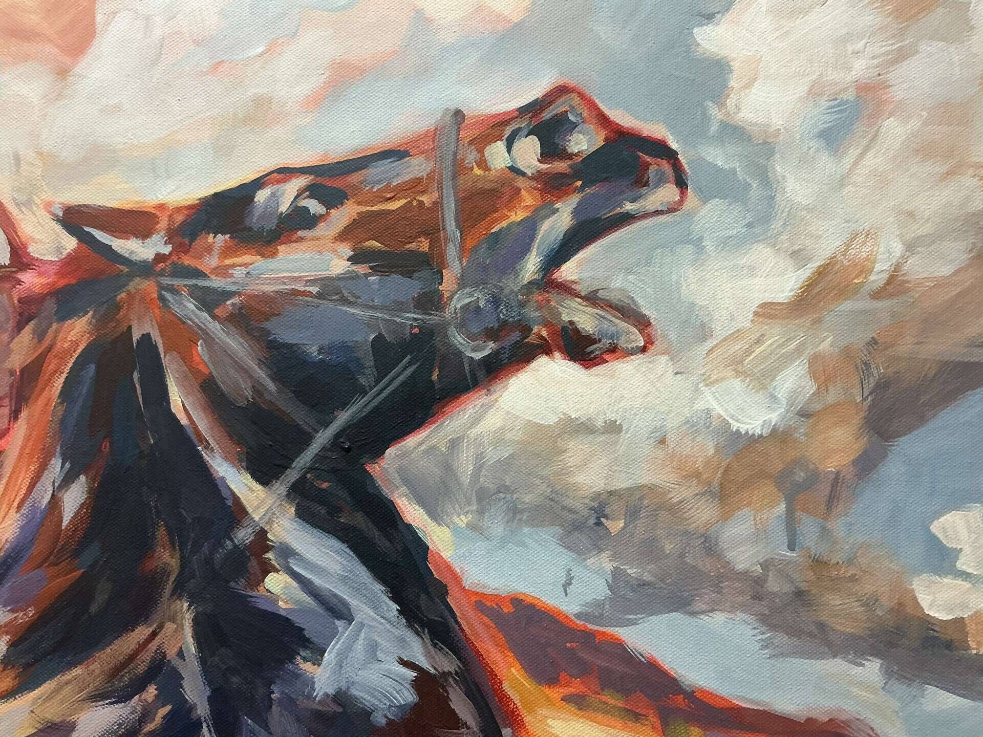 Mobilität auf vier Hufen - Christine Knüttel 4