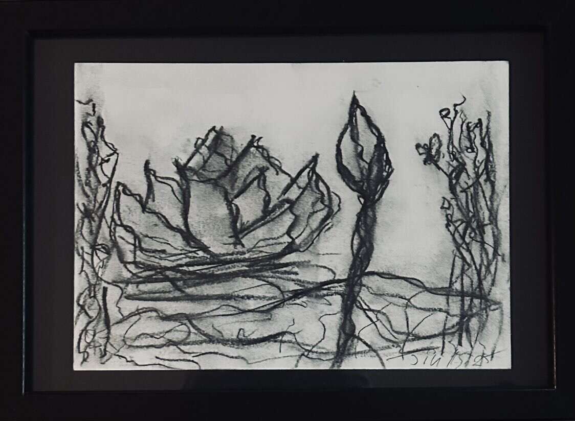 Waterlilies Dream 2 - Martina  Schepperle  4