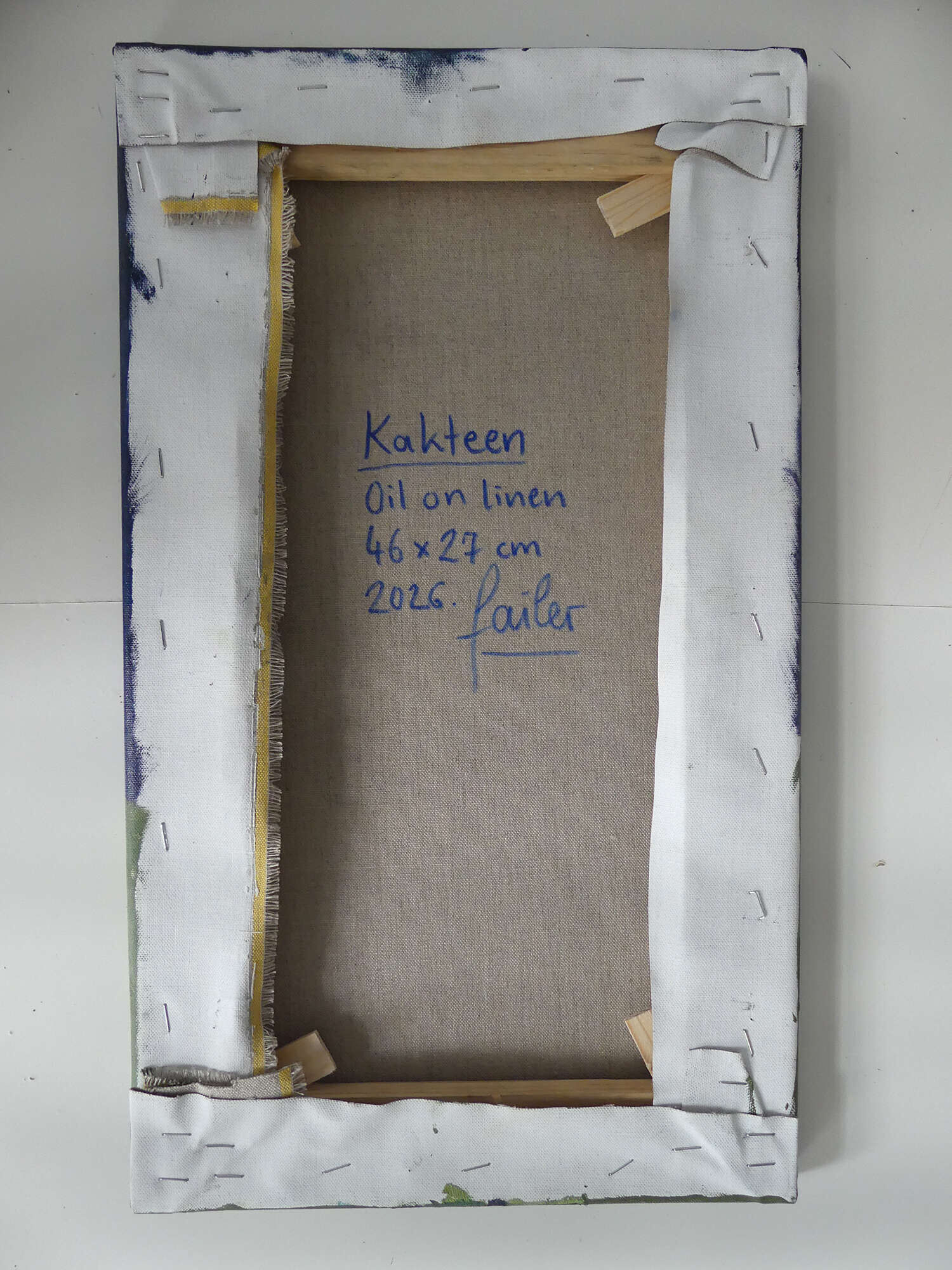 Kakteen - Jo Failer 6