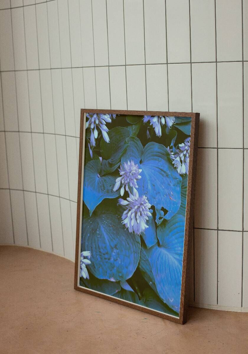 Flowers -03