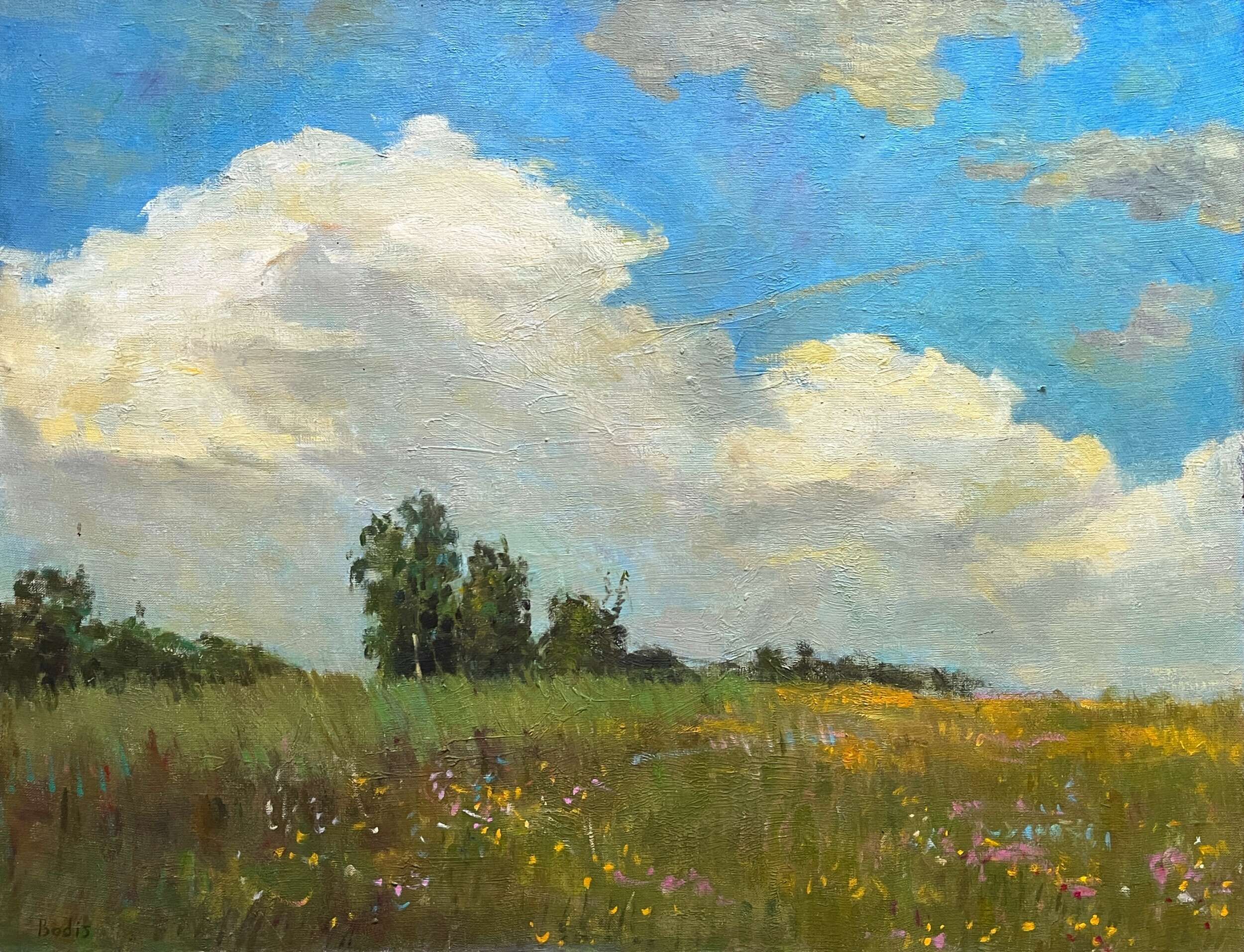 Peaceful sky  - Bohdan  Dobrivskyi  1