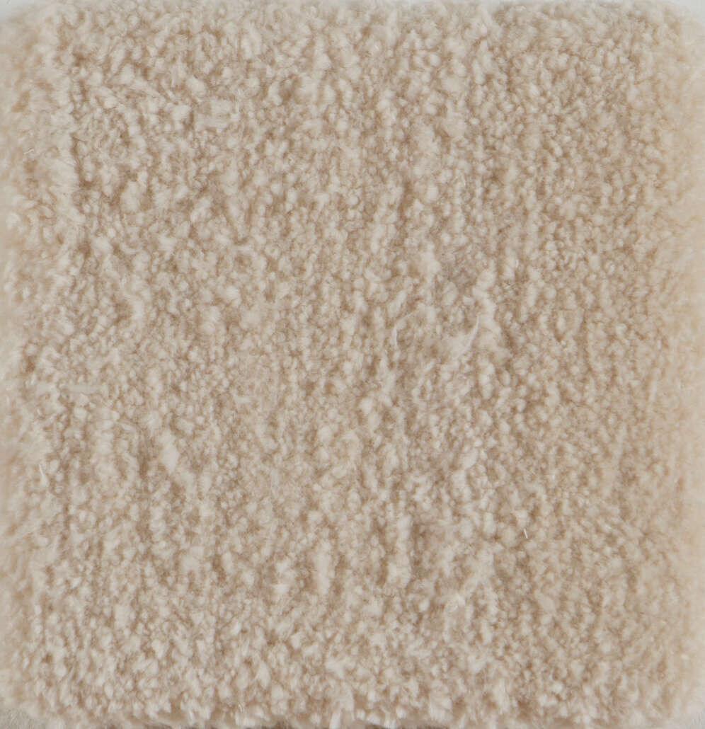Eggshell - Carmen Moreira 1