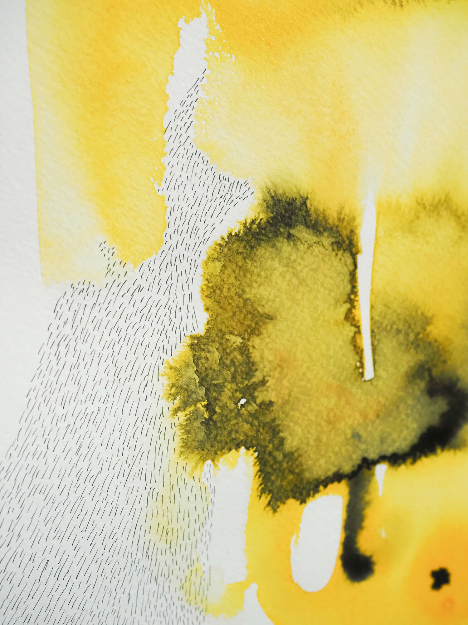 Microverse 10/12 - Vicky Anna Lardschneider 1