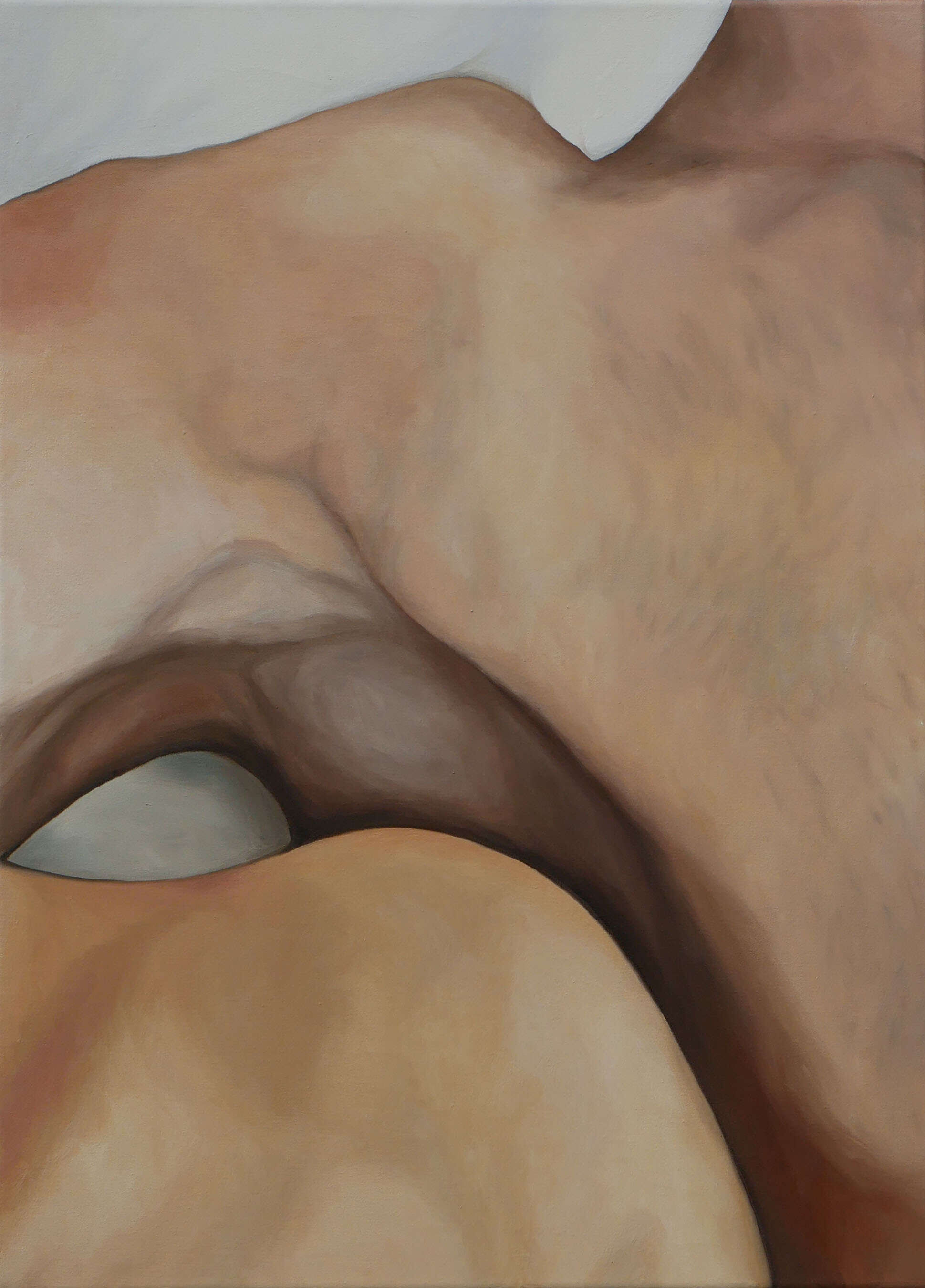 Haut 2 - Judith Blodig 1