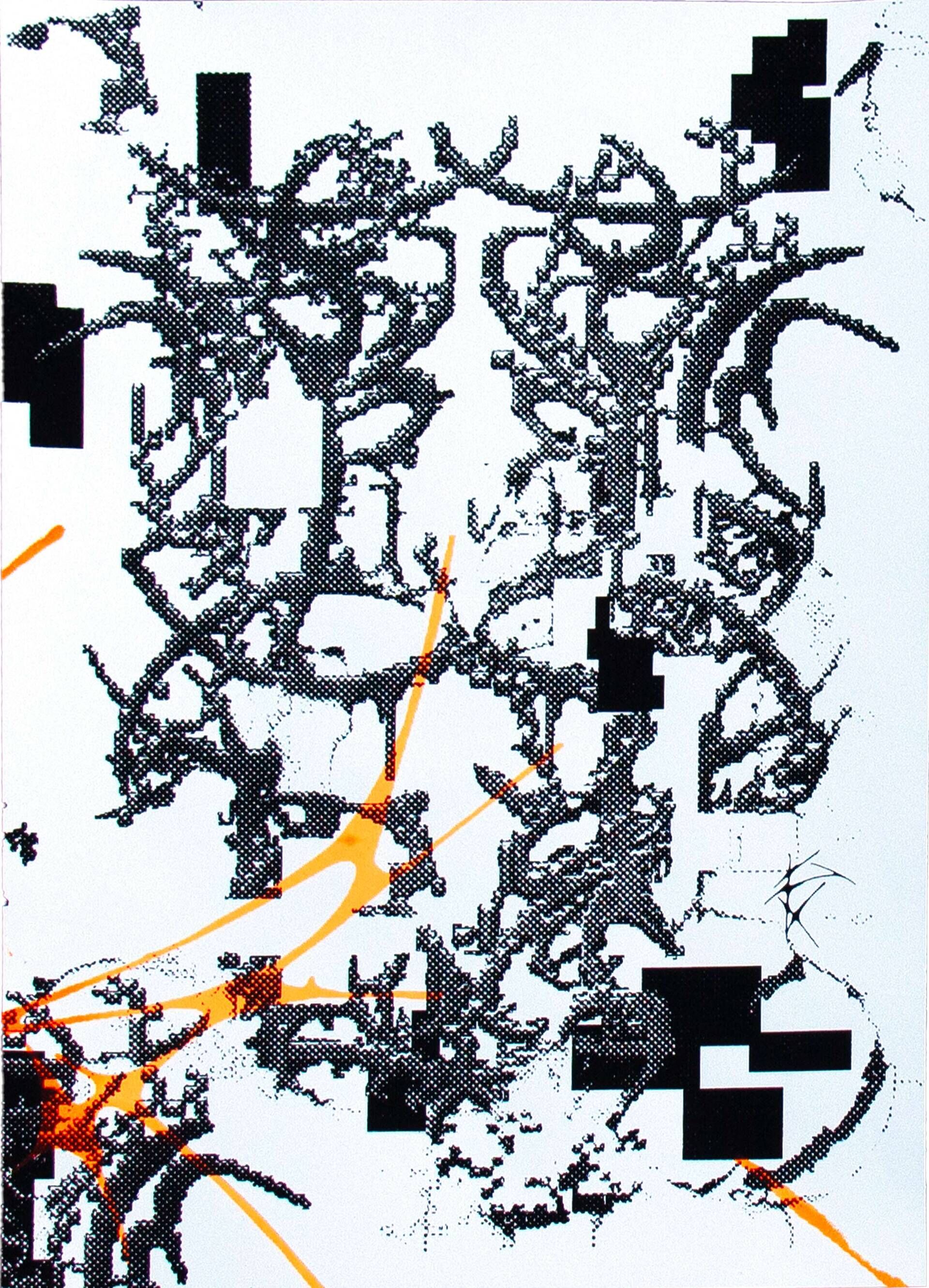 Siebdruck - Vera Freier 1