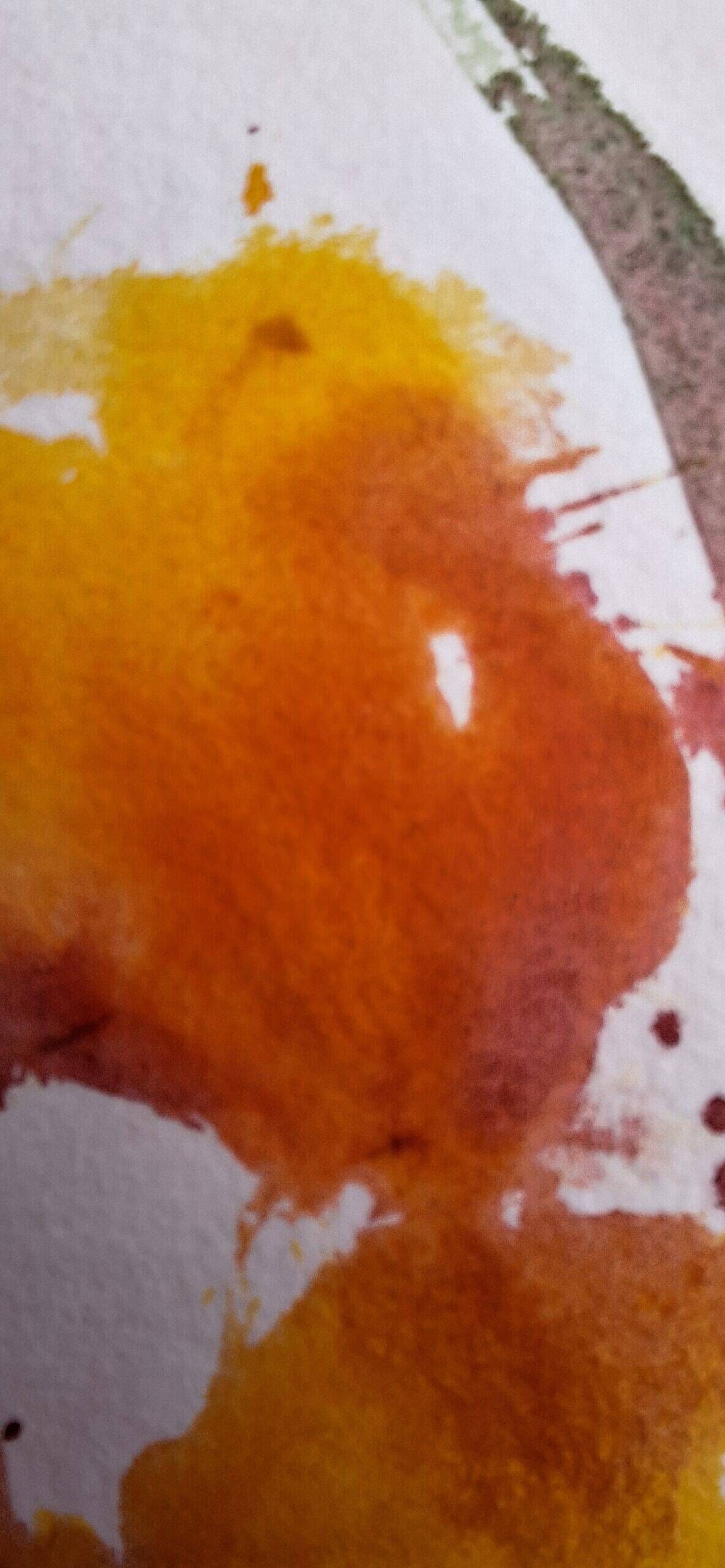 Spring Study - Sara Wimmers 1