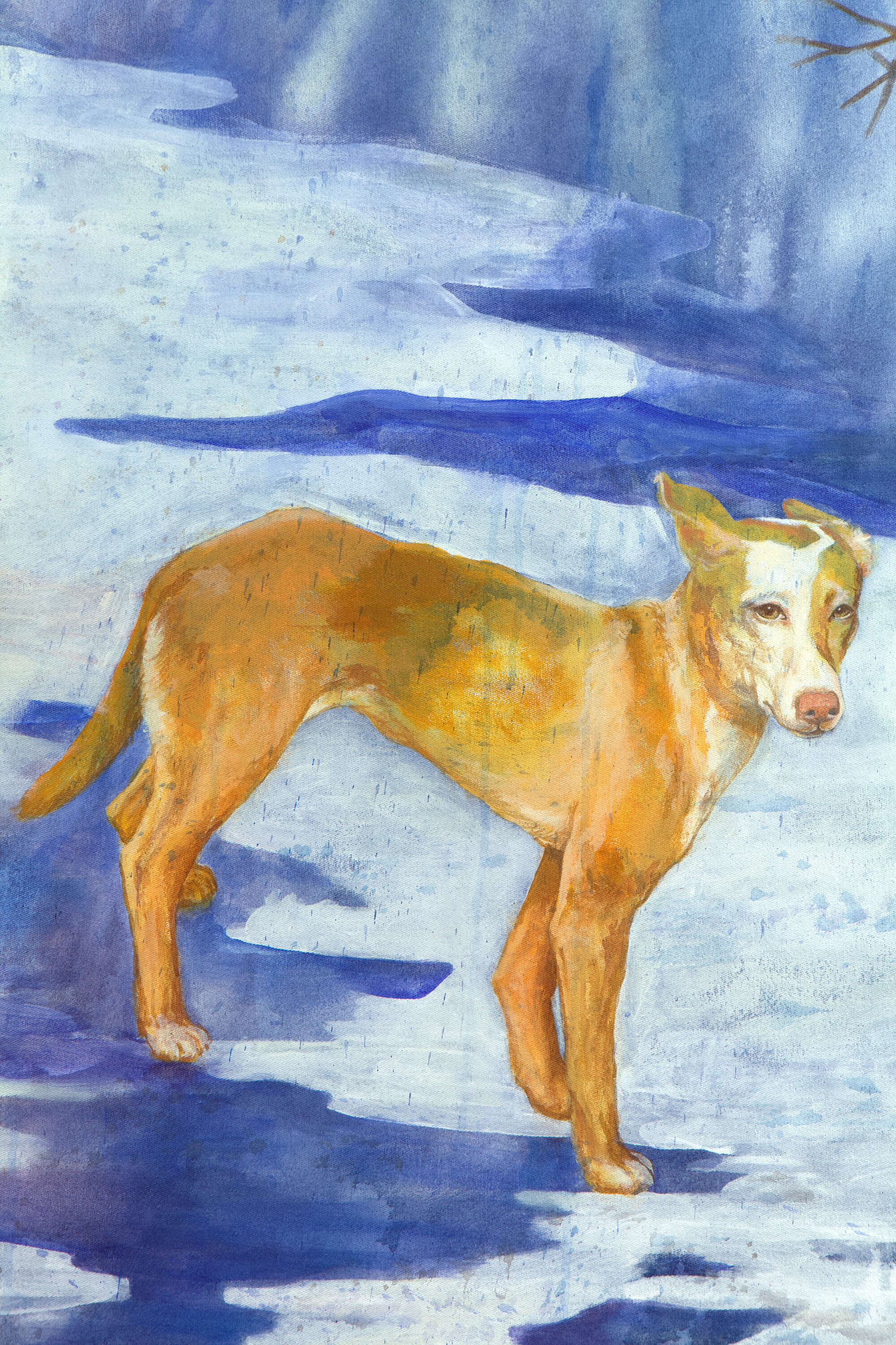 Night walk - Irina Zich 1