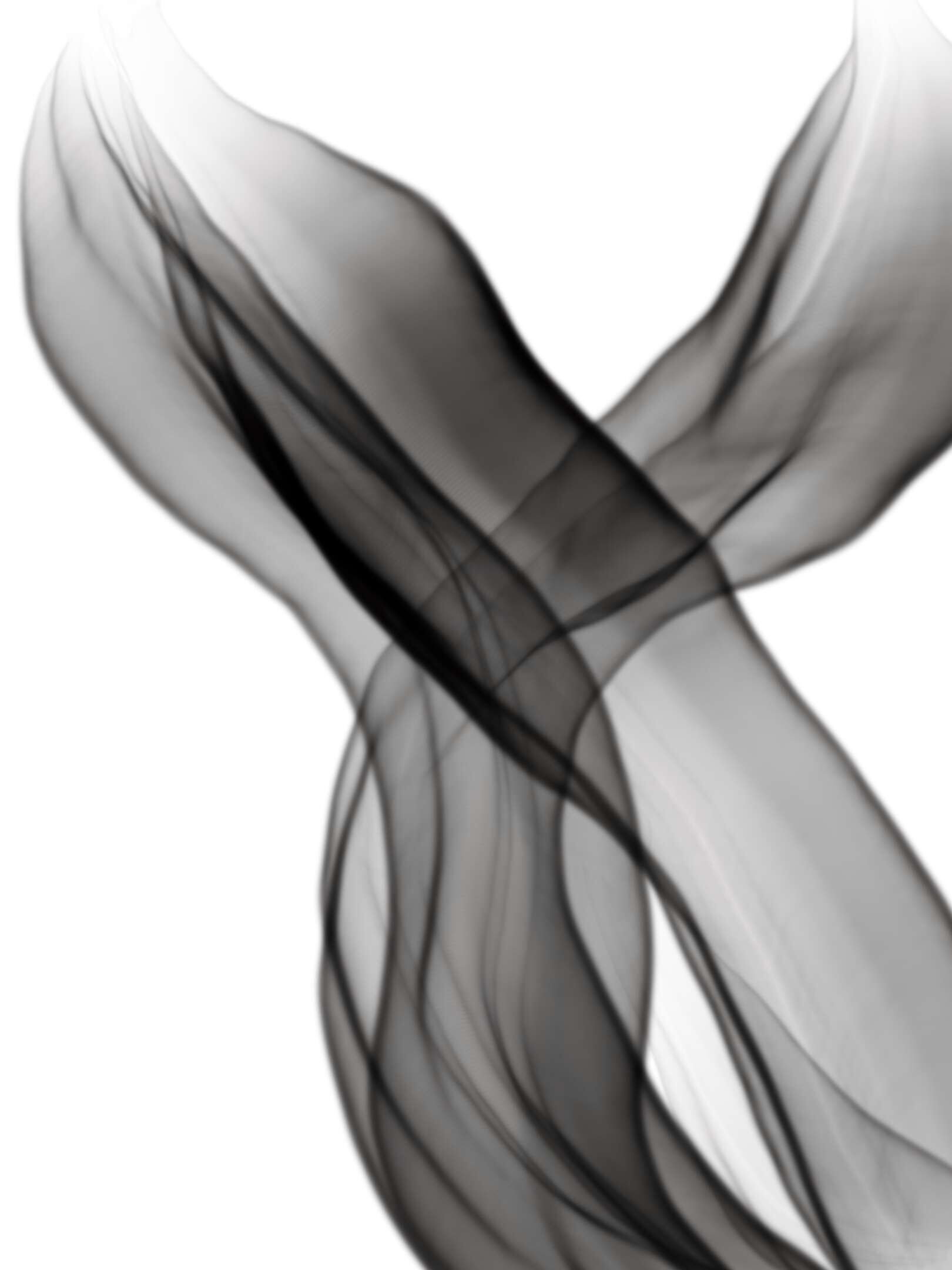 Smokey  - Julienne  Dumrese 1