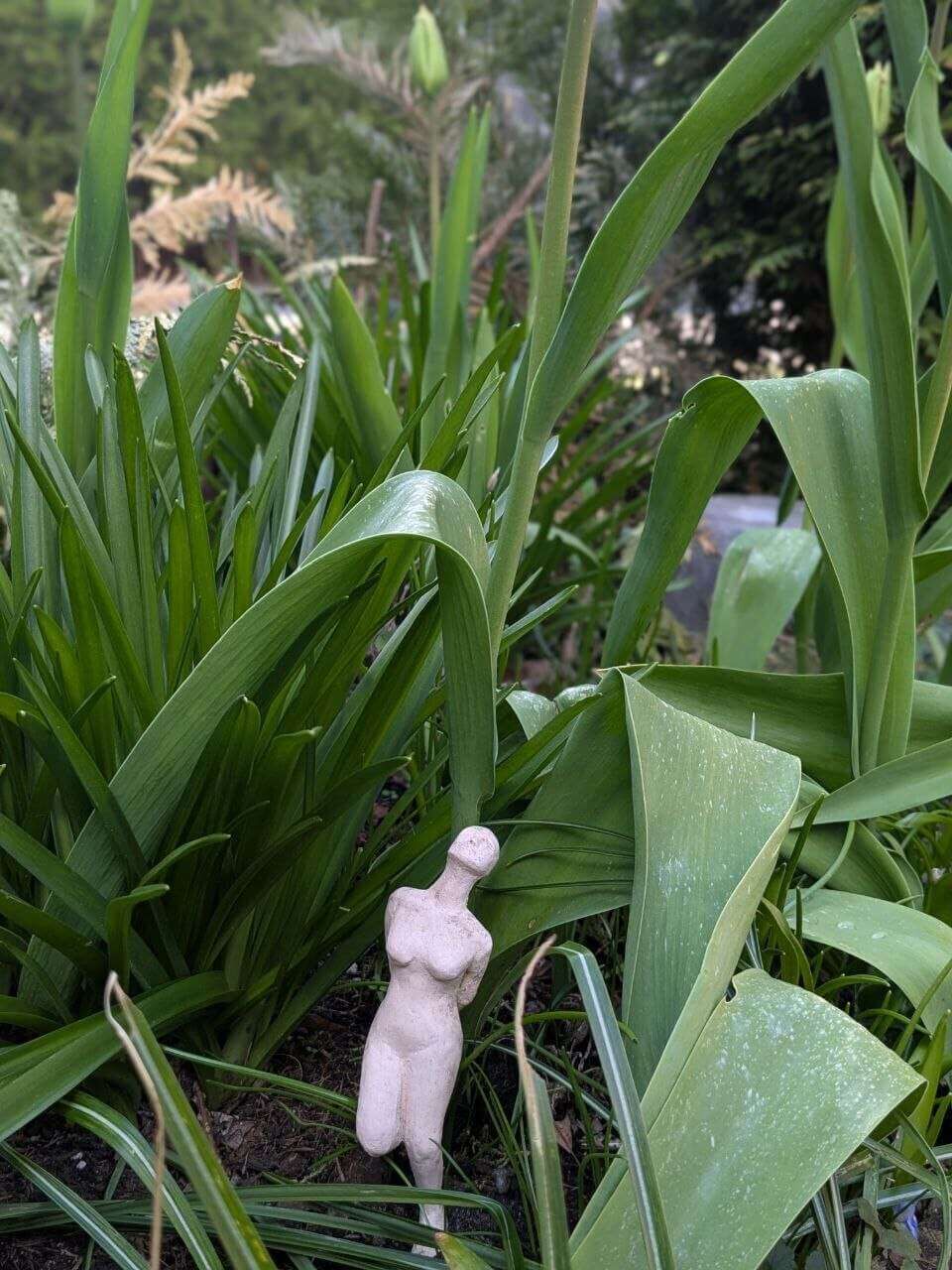 Hilde-gugg-in-die-Luft - Anna Klaus 6