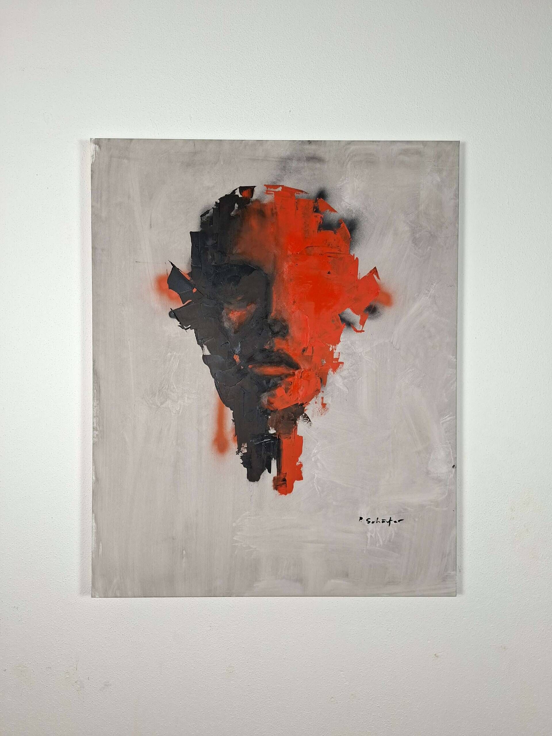 RedG1 - Paul Schäfer 5
