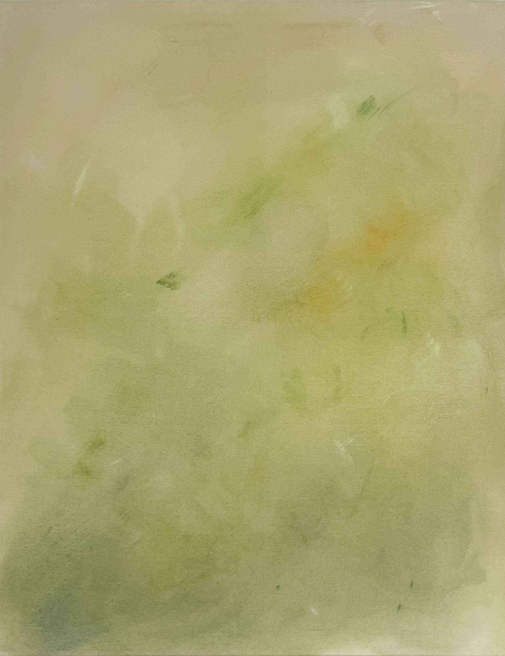 grüner wirds nicht  - Ina  Streit  1