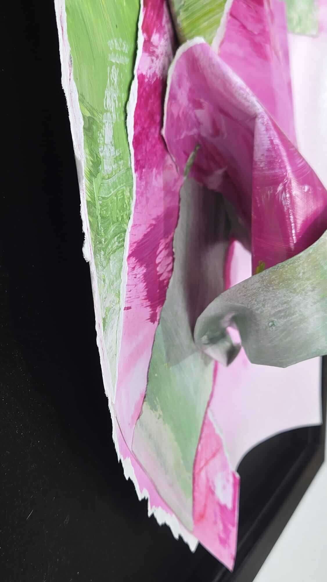 Opus Geminum: Opera 1-1025 - Vesna  Faiazza  7