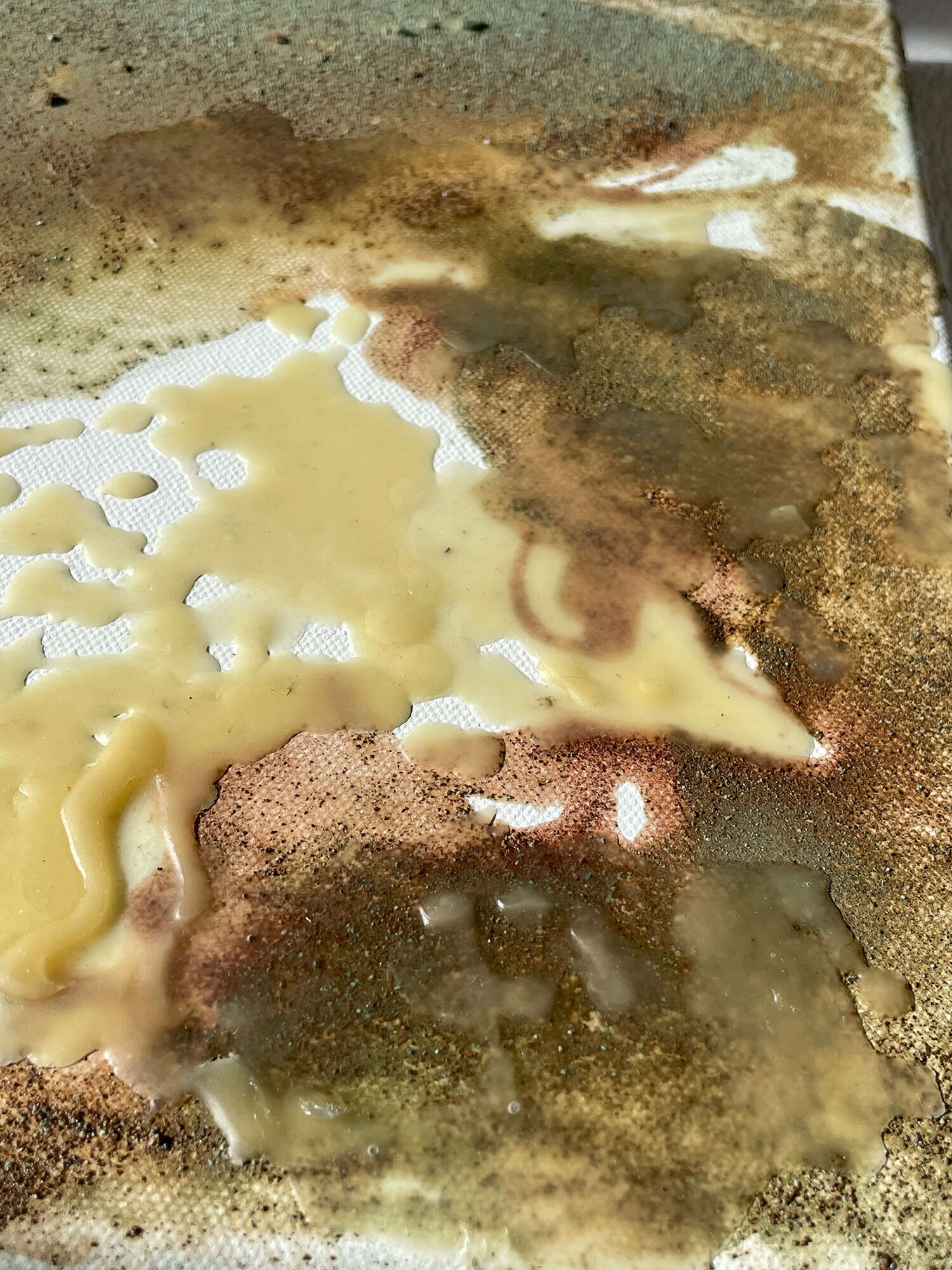 Echo der Natur - Vicky Anna Lardschneider 3