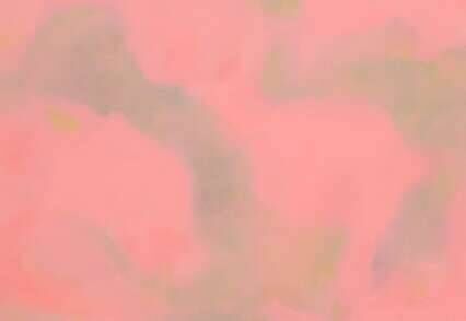 Dreams_rosa - Vincent  Hüdepohl 1