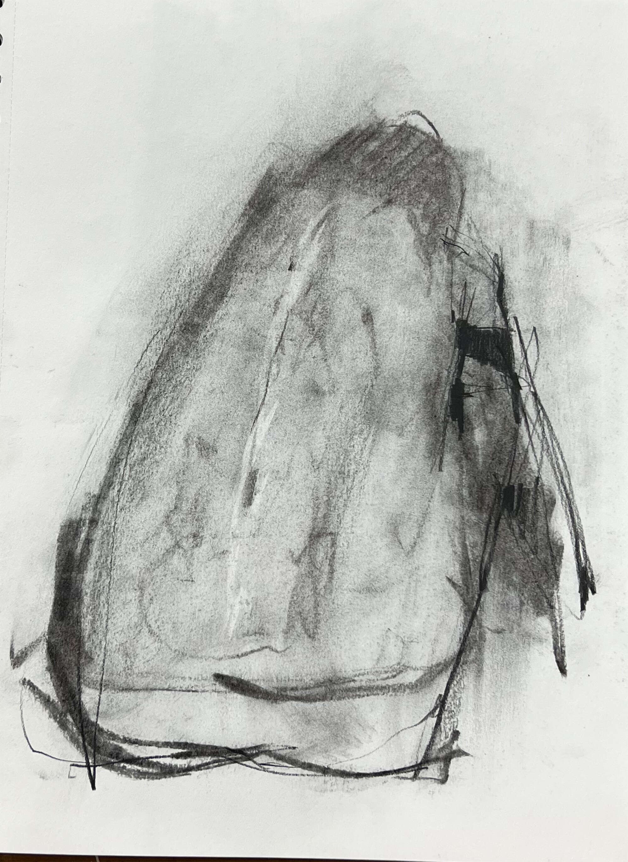 First page spine - Tyler Heidenwag 1